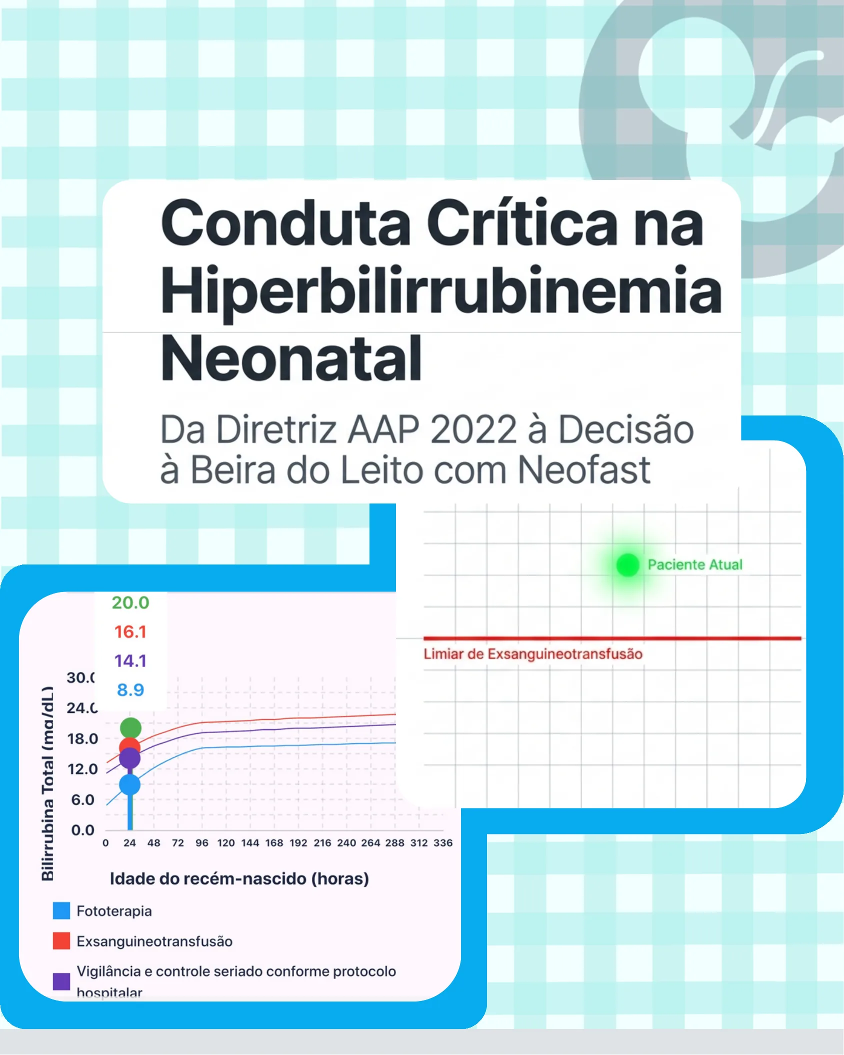 Critical Management of Neonatal Hyperbilirubinemia: From AAP 2022 Guideline to Bedside Decision with Neofast