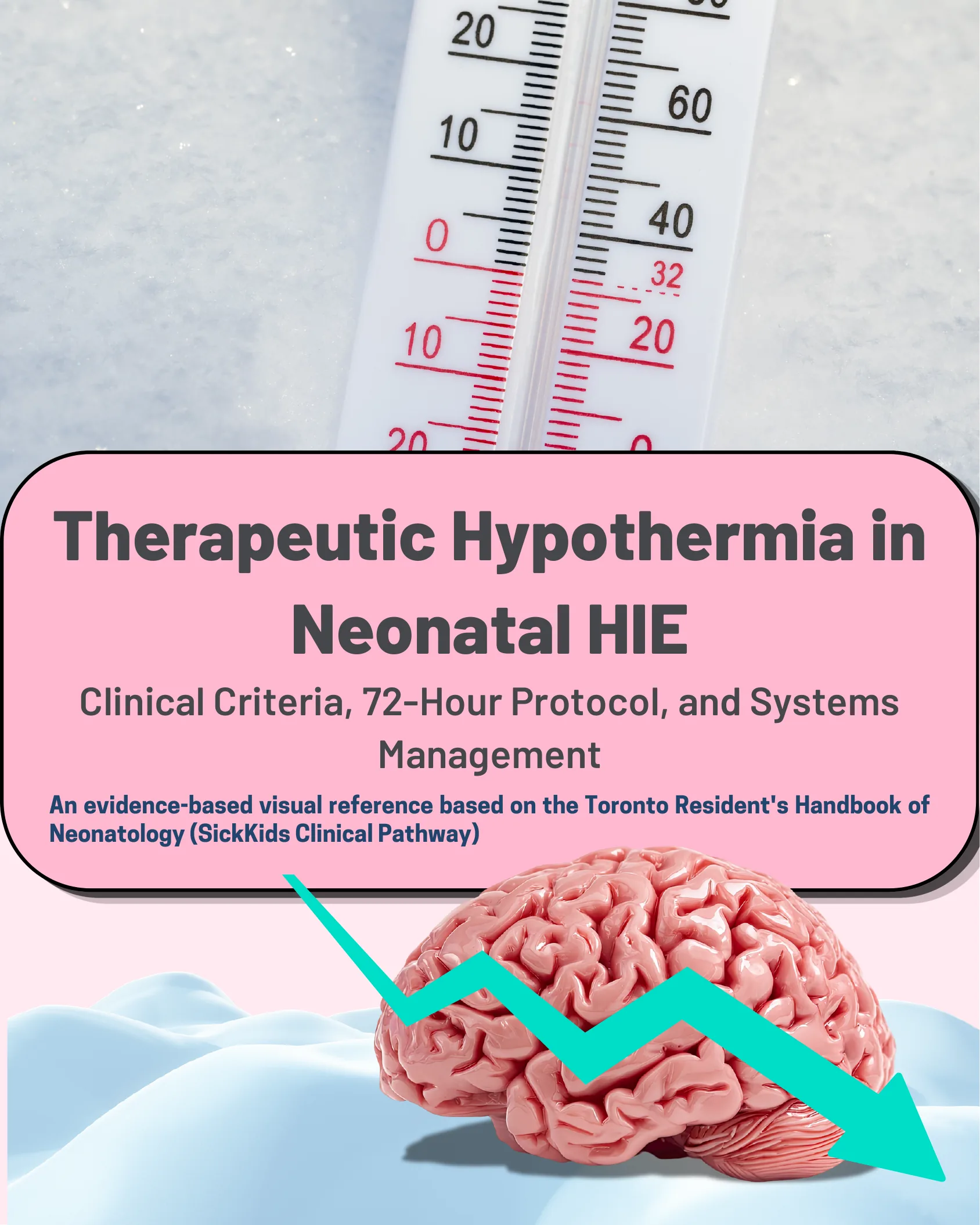 Hipotermia Terapéutica en Encefalopatía Hipóxico-Isquémica Neonatal: Criterios Clínicos, Protocolo de 72 Horas y Manejo de Sistemas