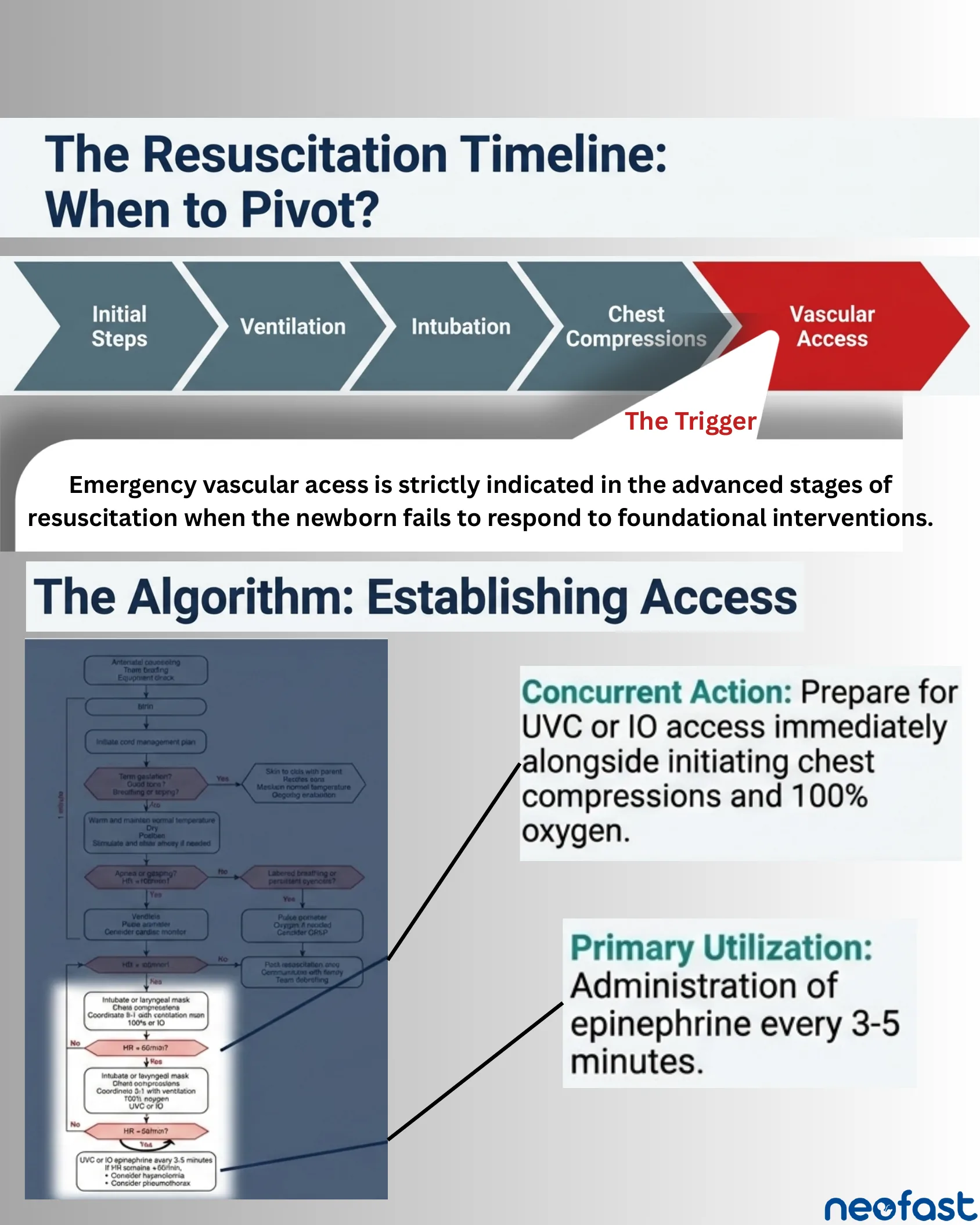 Flowchart showing the resuscitation timeline from initial steps to vascular access, with the trigger explanation and NRP algorithm excerpt highlighting concurrent UVC/IO preparation and epinephrine administration.