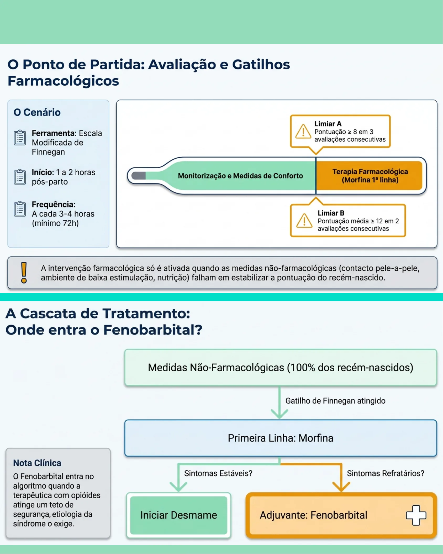 Infográfico mostrando o fluxo de avaliação da Escala Modificada de Finnegan com limiares para início de terapia farmacológica e a cascata de tratamento com morfina como primeira linha e fenobarbital como adjuvante.