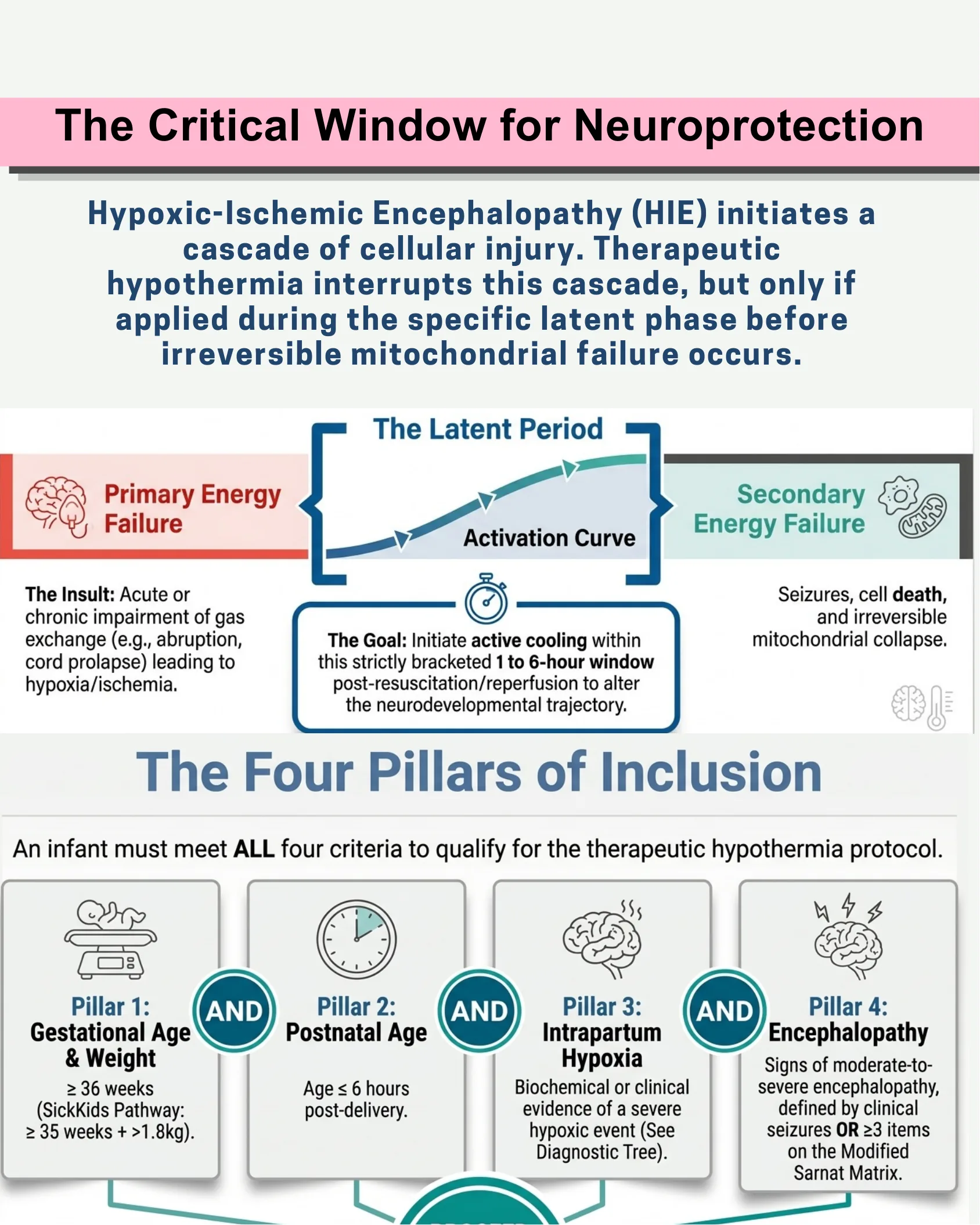 Infographic explaining the latent period between primary and secondary energy failure in HIE, and four pillars of inclusion criteria for therapeutic hypothermia.