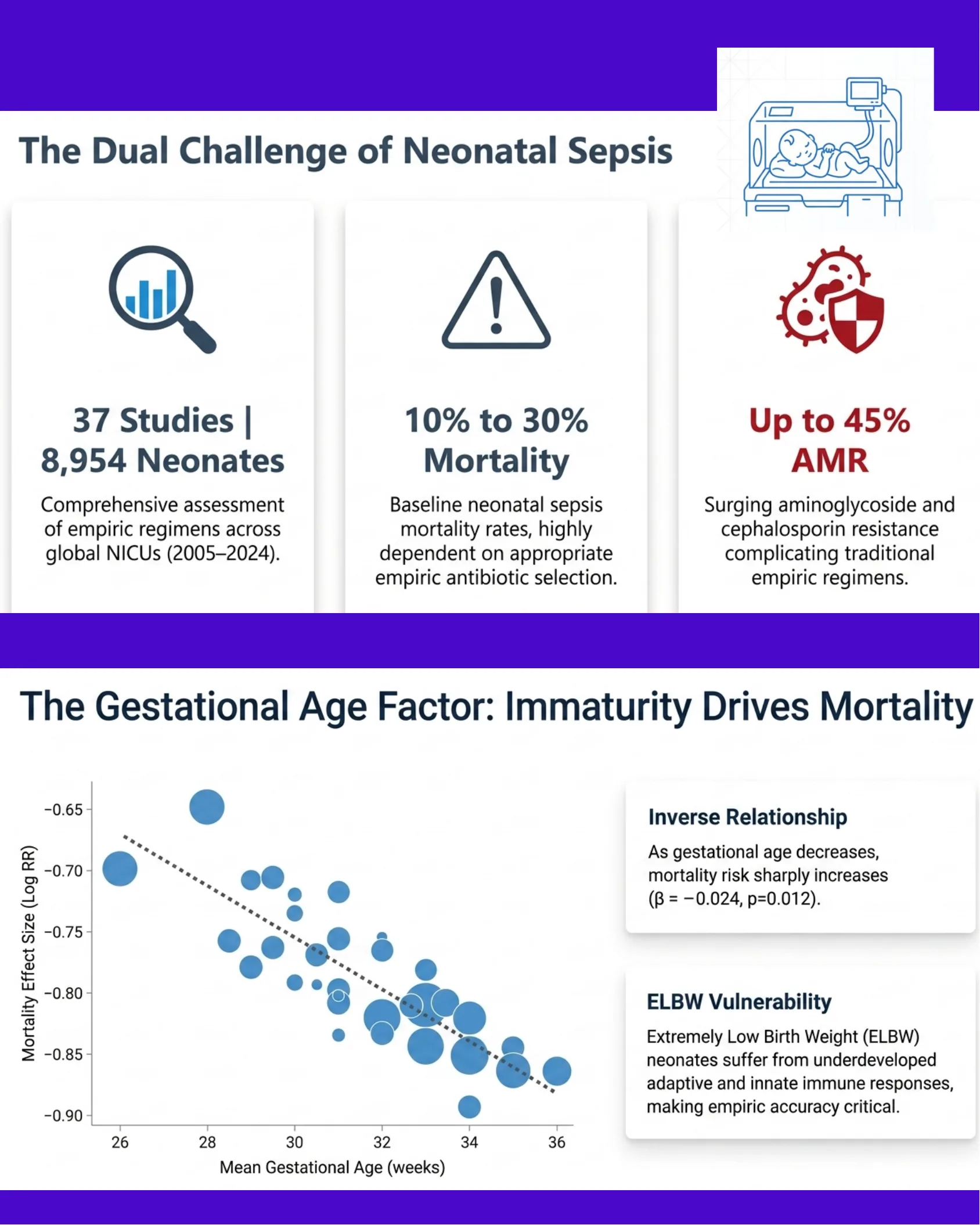 Infographic page presenting three summary statistic cards on neonatal sepsis studies, mortality, and antimicrobial resistance, plus a scatter plot showing the inverse relationship between gestational age and mortality effect size.