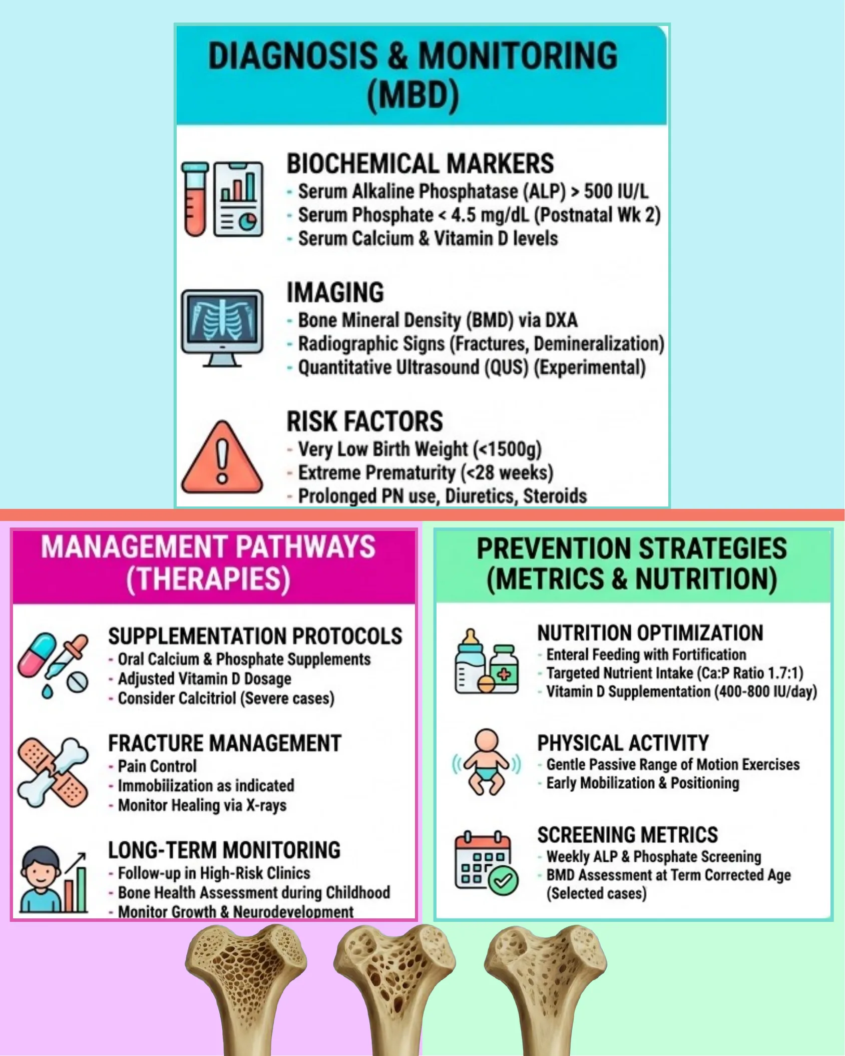 Three-panel infographic summarizing diagnosis and monitoring markers, management therapies, and prevention strategies for metabolic bone disease of prematurity, with bone cross-section images at the bottom.
