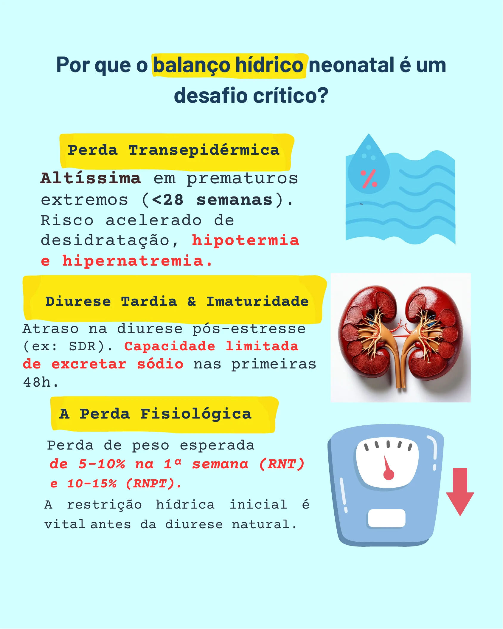 Infográfico explicando três desafios do balanço hídrico neonatal: perda transepidérmica, diurese tardia por imaturidade renal e perda de peso fisiológica esperada.
