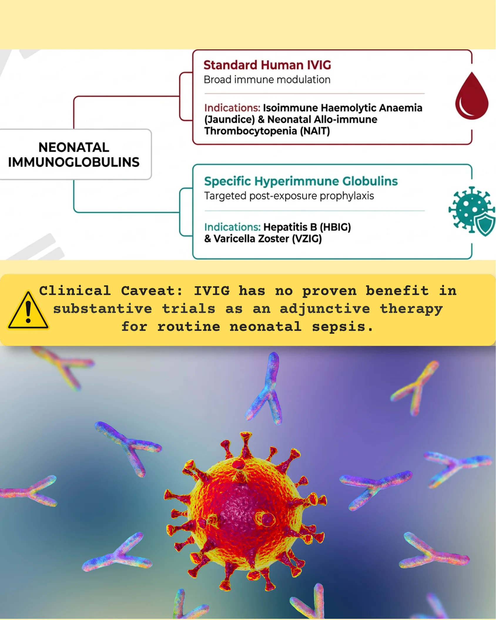 Diagram categorizing neonatal immunoglobulins into Standard Human IVIG and Specific Hyperimmune Globulins with their indications, plus a warning about IVIG in neonatal sepsis, over a background image of antibodies and a virus particle.