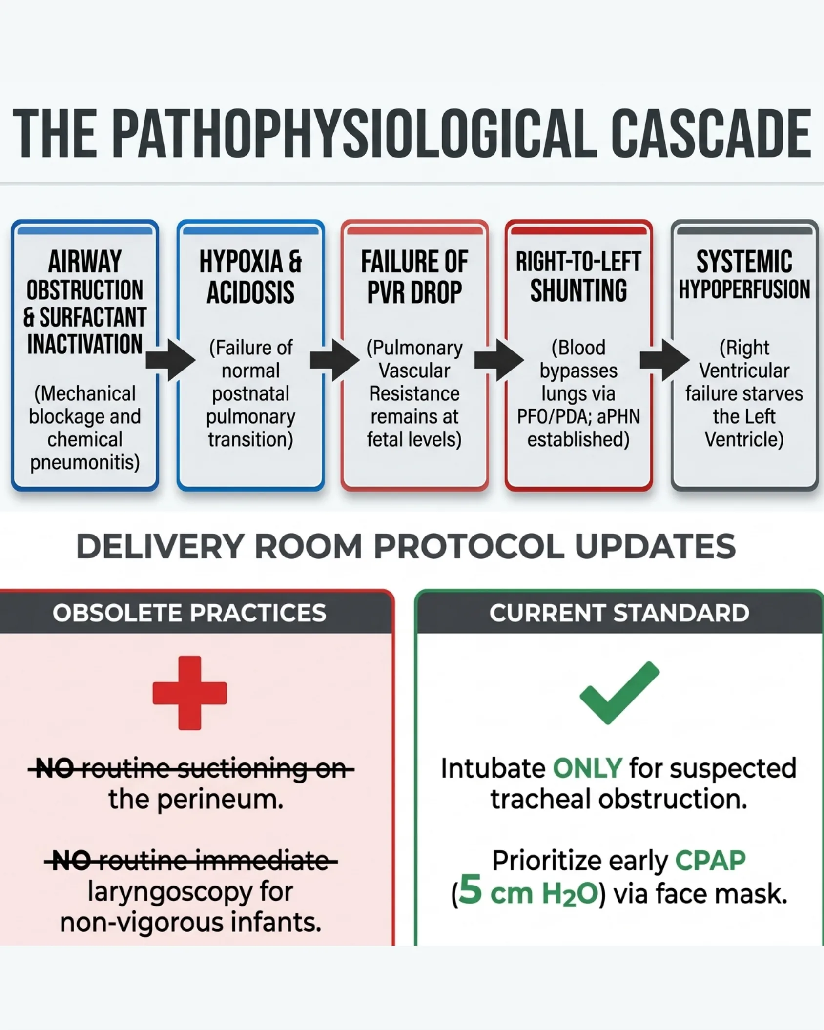Flowchart illustrating the five-step pathophysiological cascade from airway obstruction to systemic hypoperfusion, alongside a comparison table of obsolete versus current delivery room practices.