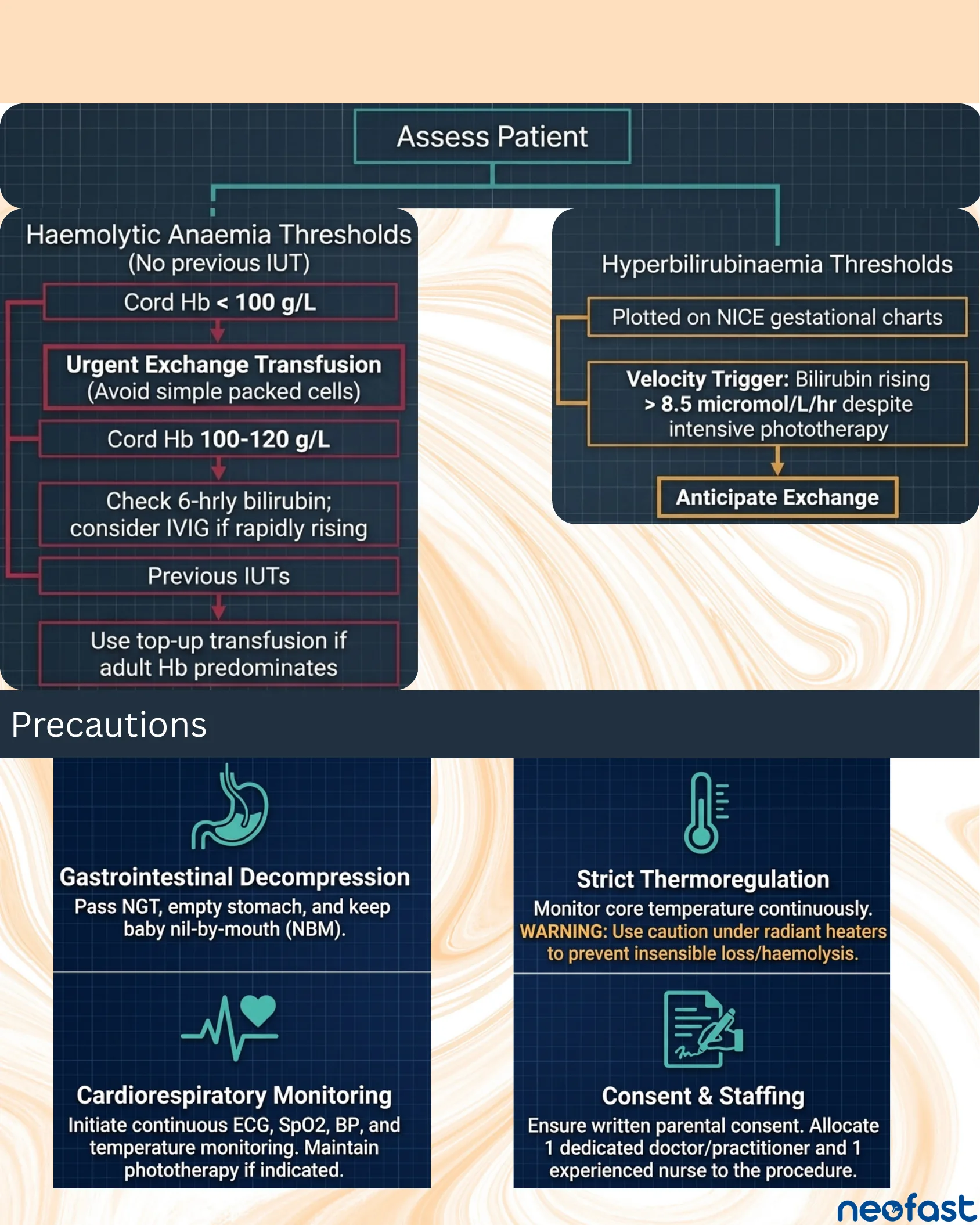 Flowchart of assessment thresholds for haemolytic anaemia and hyperbilirubinaemia leading to exchange transfusion decisions, followed by a precautions section covering GI decompression, thermoregulation, cardiorespiratory monitoring, and consent/staffing.