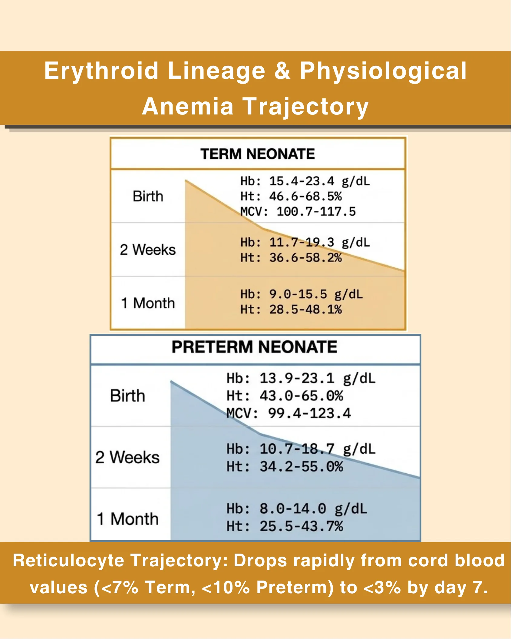 Two comparison tables showing hemoglobin, hematocrit, and MCV trends from birth to one month for term and preterm neonates, with a note on reticulocyte trajectory.