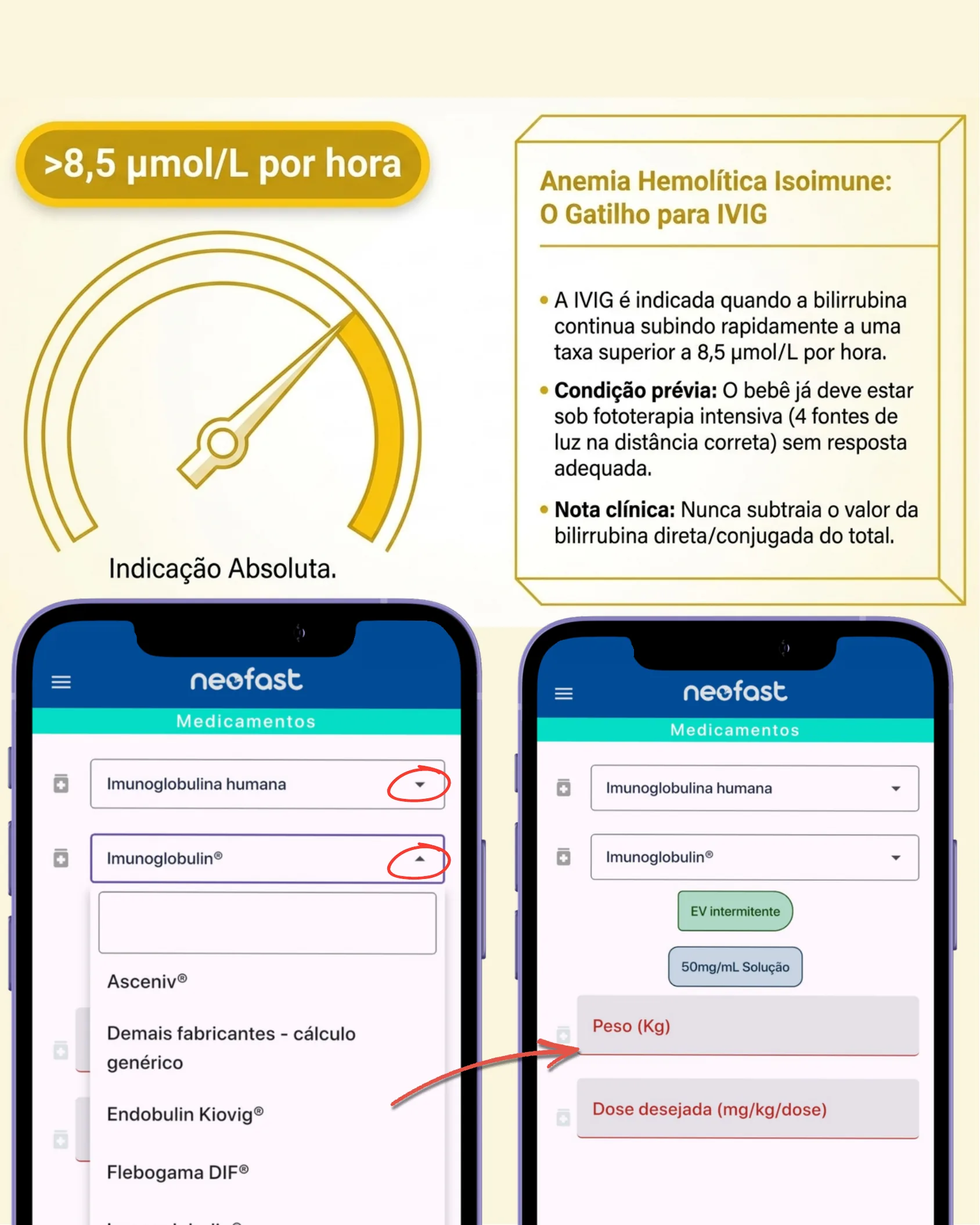 Página mostrando o limiar de subida de bilirrubina que indica IVIG e telas do aplicativo Neofast para cálculo da dose.