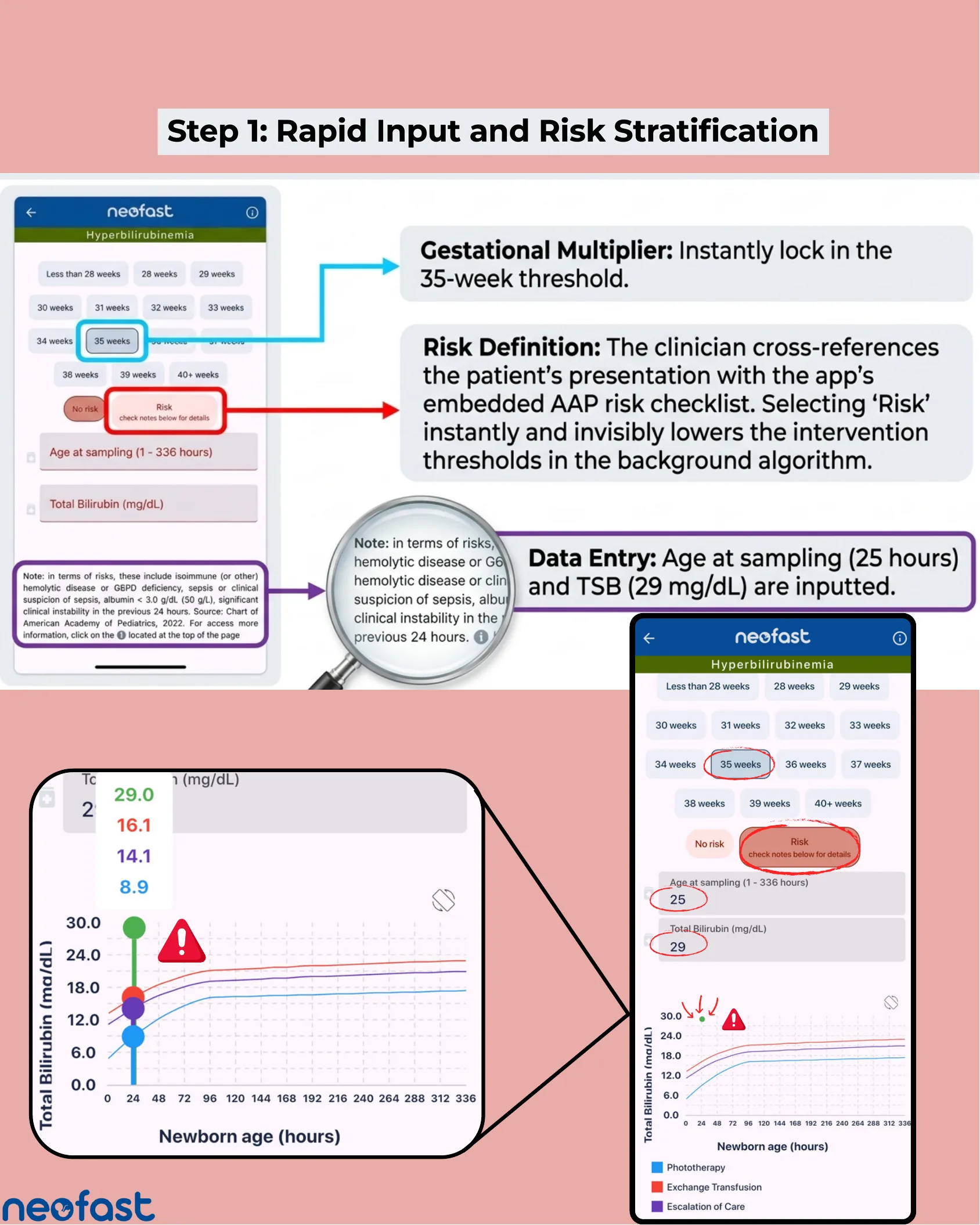 Tela do aplicativo Neofast com anotações explicando o multiplicador gestacional, a definição de risco conforme checklist da AAP e a entrada dos dados de idade na coleta e bilirrubina total, incluindo gráfico ampliado com valores de referência.