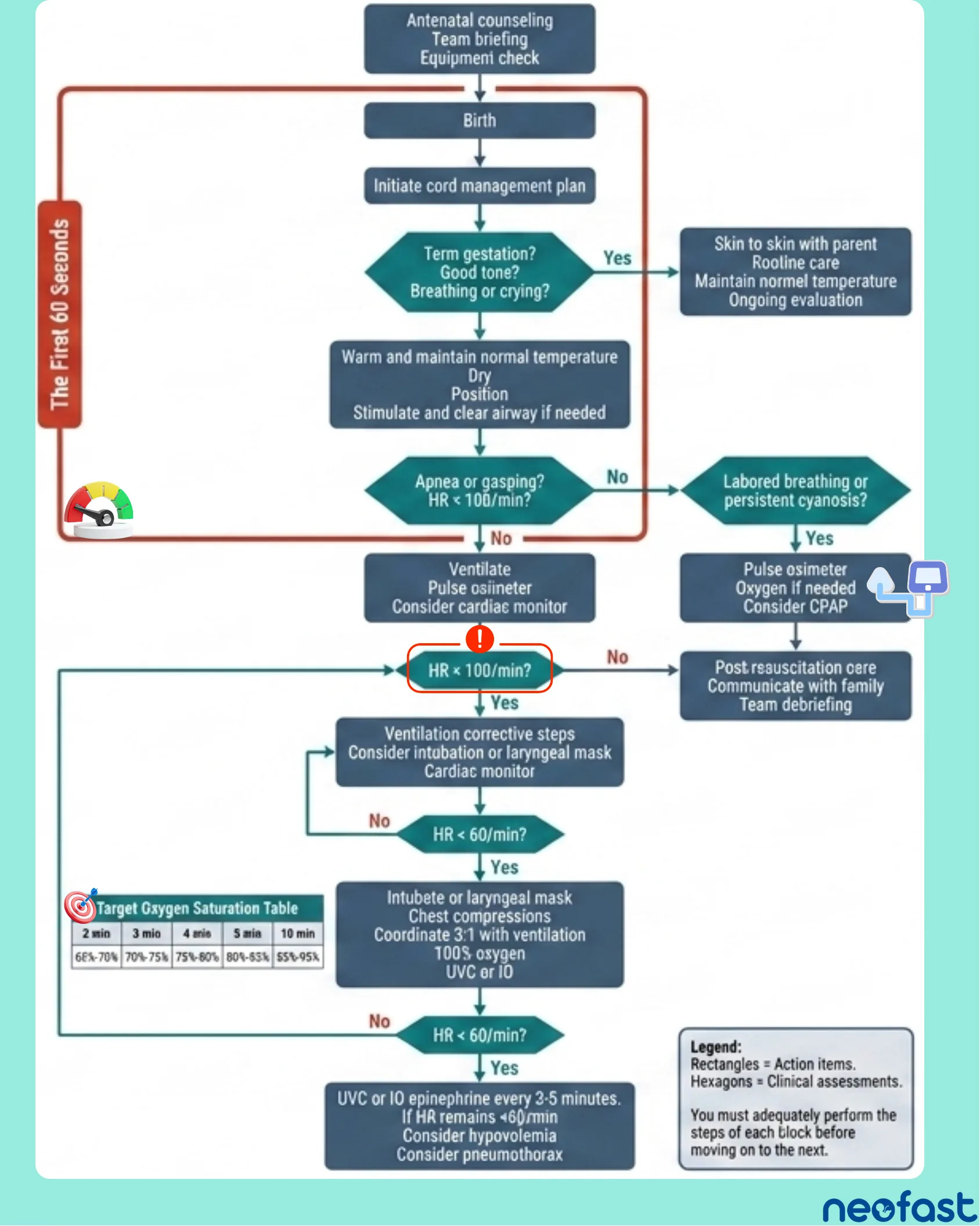 Full NRP resuscitation algorithm flowchart showing decision points from birth through cord management, initial evaluation, ventilation, chest compressions, and epinephrine administration, with a target oxygen saturation table and legend.