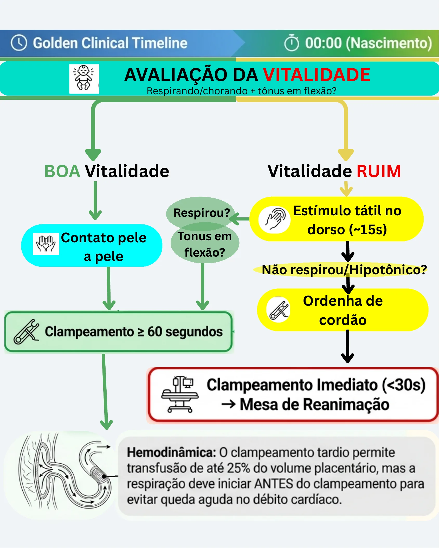 Fluxograma da avaliação da vitalidade neonatal ao nascimento (00:00), dividindo condutas entre boa vitalidade e vitalidade ruim, incluindo clampeamento do cordão e explicação hemodinâmica.