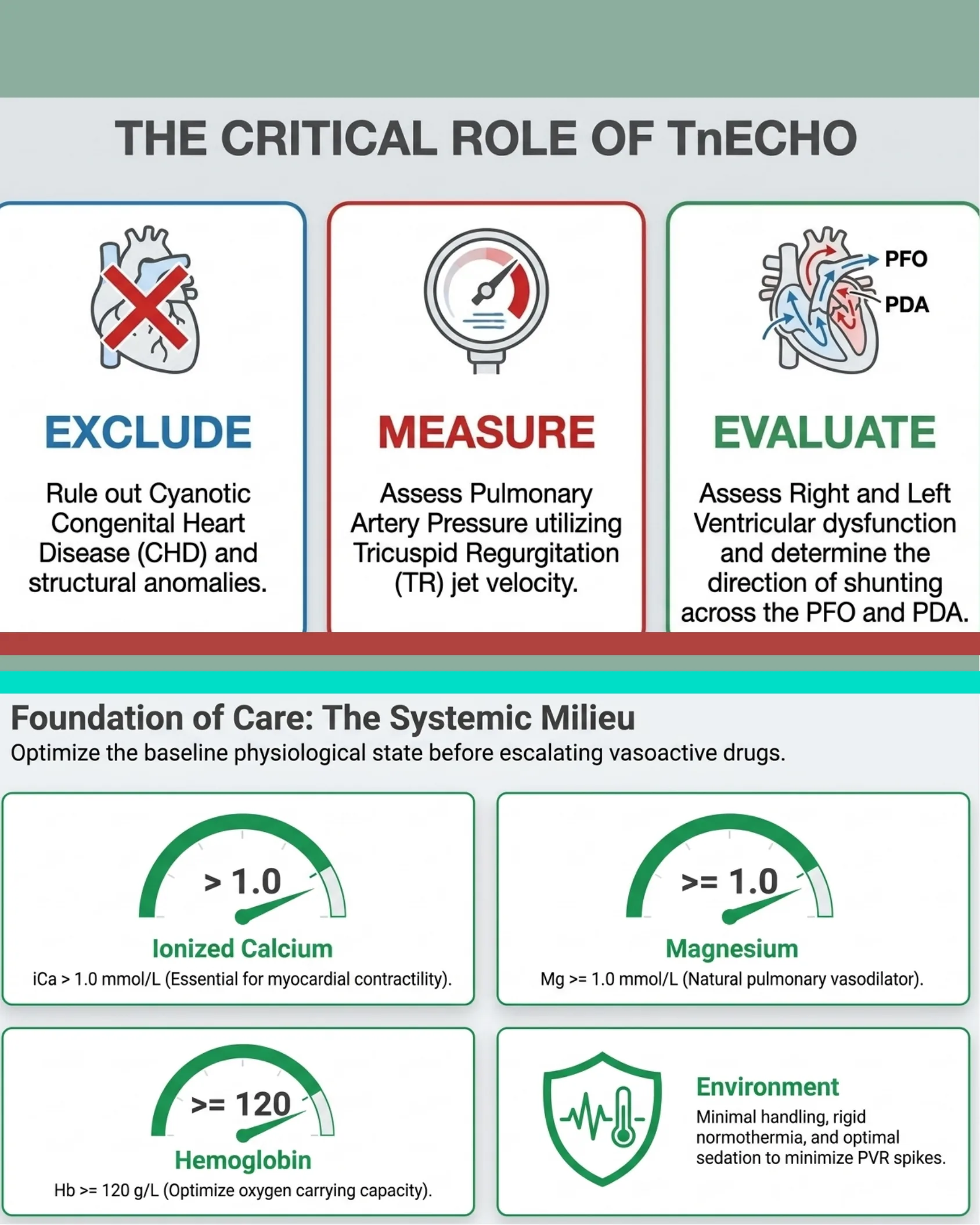 Infographic outlining the three key roles of targeted neonatal echocardiography (exclude, measure, evaluate) and a foundation-of-care panel listing target values for ionized calcium, magnesium, hemoglobin, and environmental optimization.