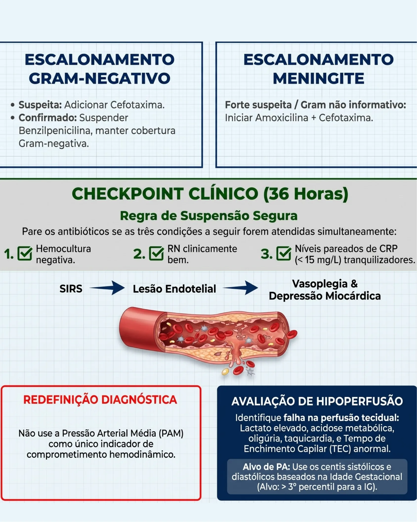 Quadros de escalonamento antibiótico para suspeita gram-negativa e meningite, checkpoint clínico de 36 horas com regra de suspensão segura, e ilustração da fisiopatologia vascular na sepse.
