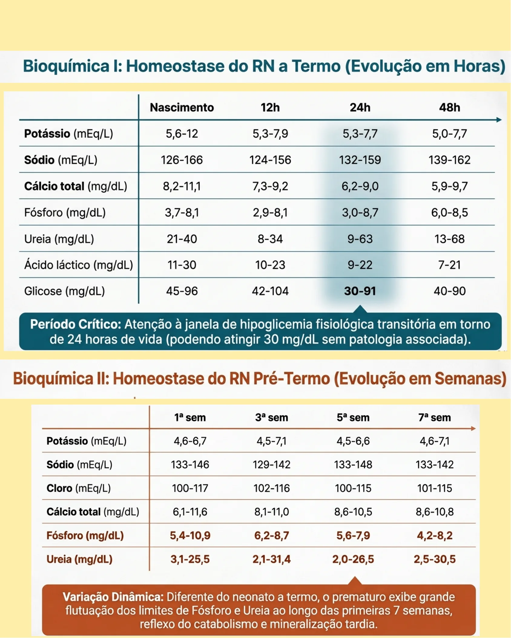 Tabelas de evolução bioquímica em recém-nascidos a termo (por horas) e pré-termo (por semanas), incluindo potássio, sódio, cálcio, fósforo, ureia, ácido láctico e glicose.