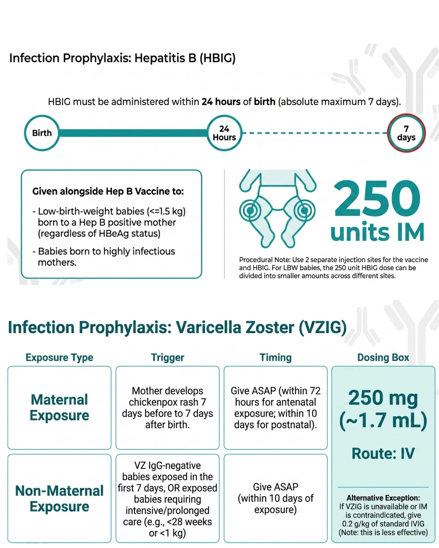 Infographic detailing Hepatitis B immunoglobulin (HBIG) timing and dosing of 250 units IM within 24 hours of birth, and a table for Varicella Zoster immunoglobulin (VZIG) exposure types, triggers, timing, and dosing of 250 mg IV.