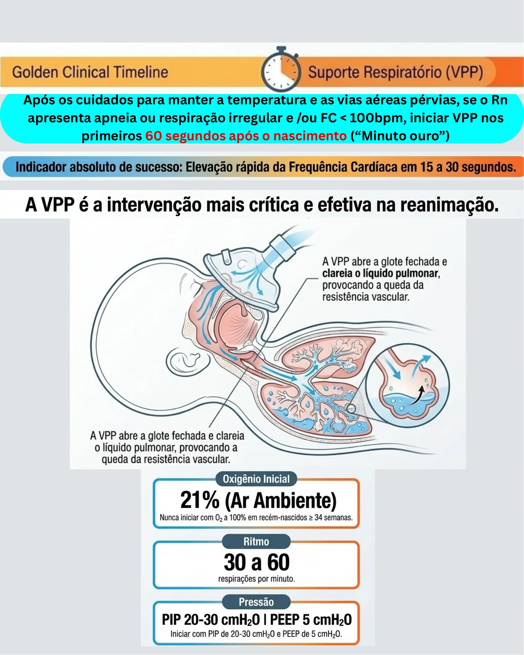 Infográfico detalhando o início da ventilação com pressão positiva (VPP) no recém-nascido, incluindo indicações, indicador de sucesso, diagrama de abertura pulmonar e parâmetros de oxigênio, ritmo e pressão.