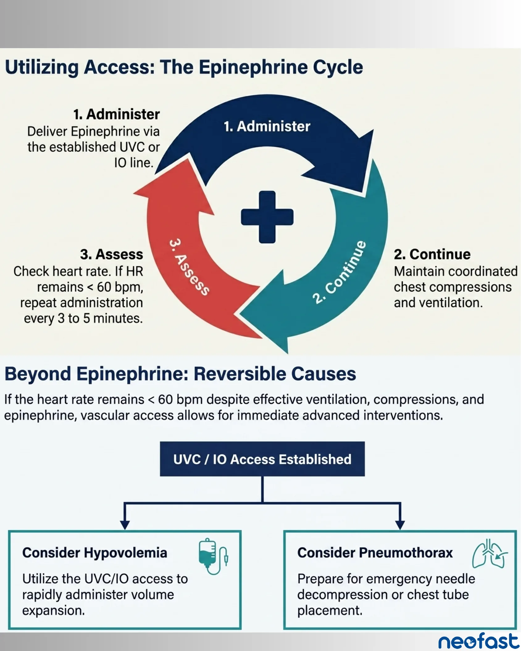 Circular diagram illustrating the three-step epinephrine cycle of administer, continue, and assess, followed by a flowchart for considering hypovolemia and pneumothorax when heart rate remains low despite UVC/IO access.