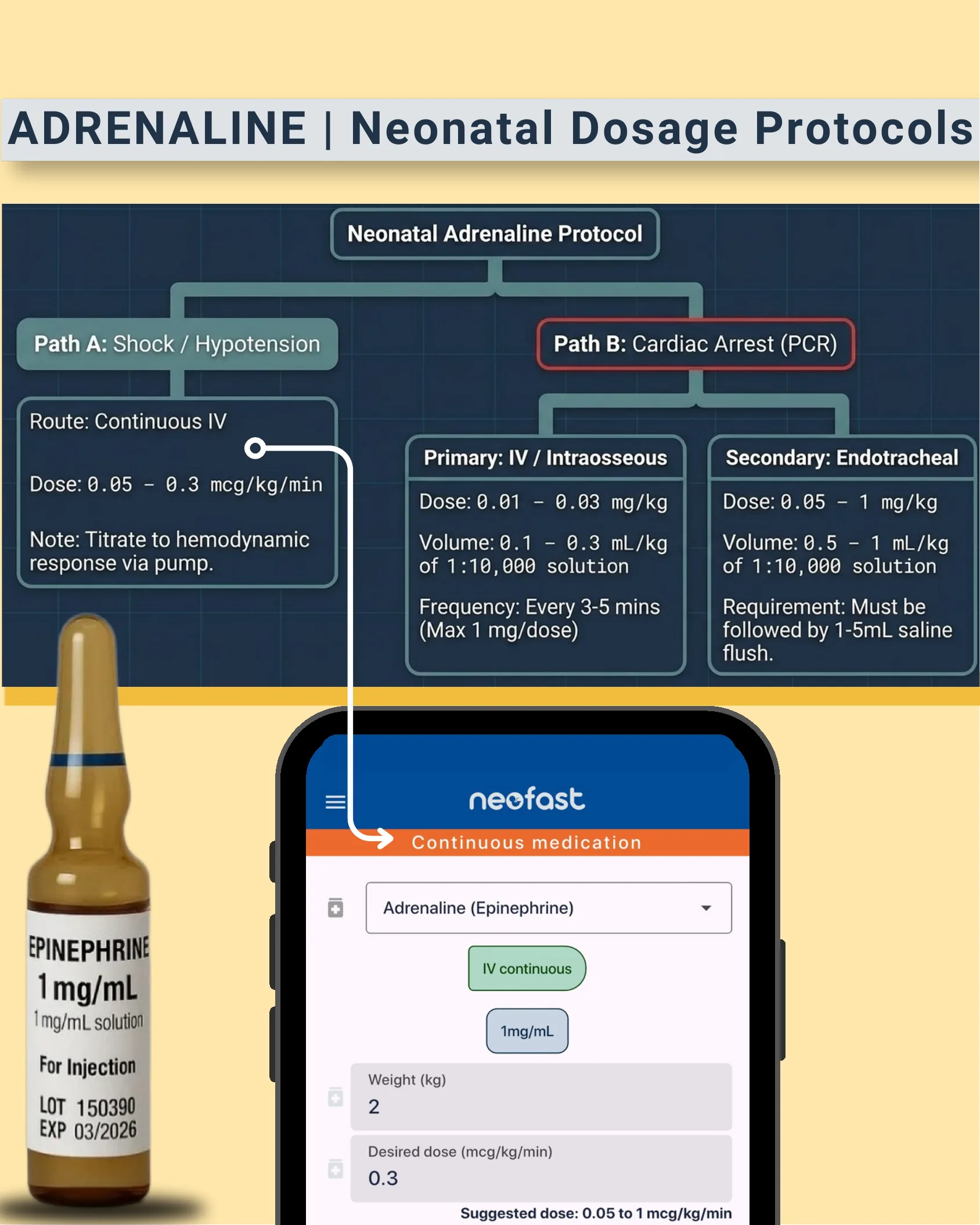 Flowchart of the neonatal adrenaline protocol splitting into Path A for shock/hypotension and Path B for cardiac arrest with IV/intraosseous and endotracheal dosing details, alongside an epinephrine ampule and app screenshot.