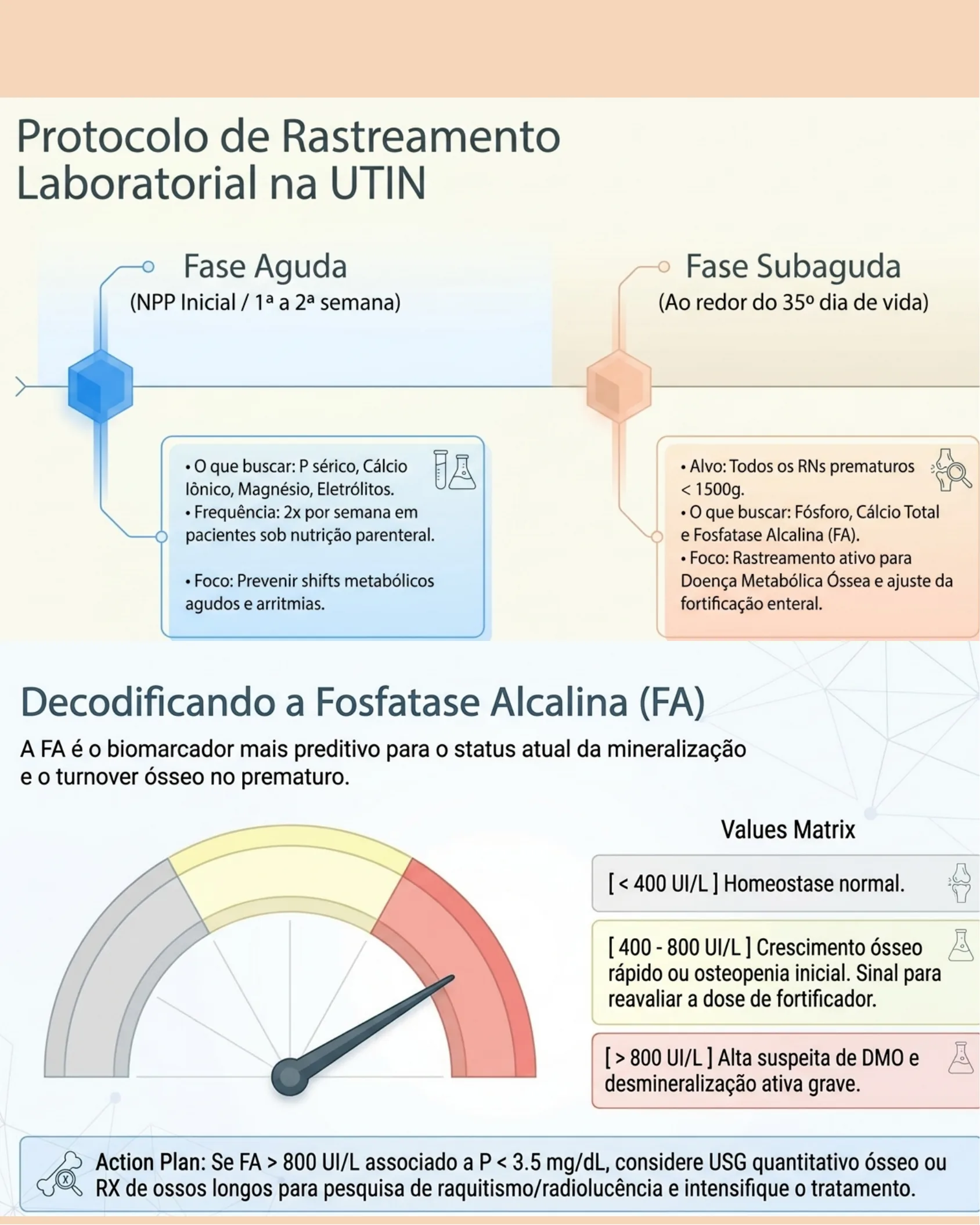 Linha do tempo com fases de rastreamento laboratorial na UTIN e gráfico de decodificação dos valores de fosfatase alcalina.