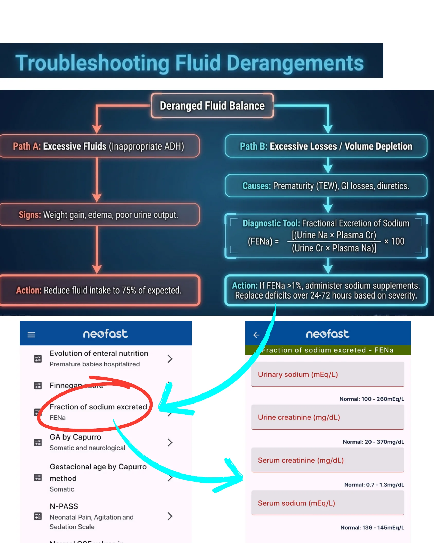 Flowchart illustrating two diagnostic pathways for deranged fluid balance in neonates—excessive fluids versus excessive losses—alongside FENa formula and NeoFast app screenshots for calculating fractional excretion of sodium.