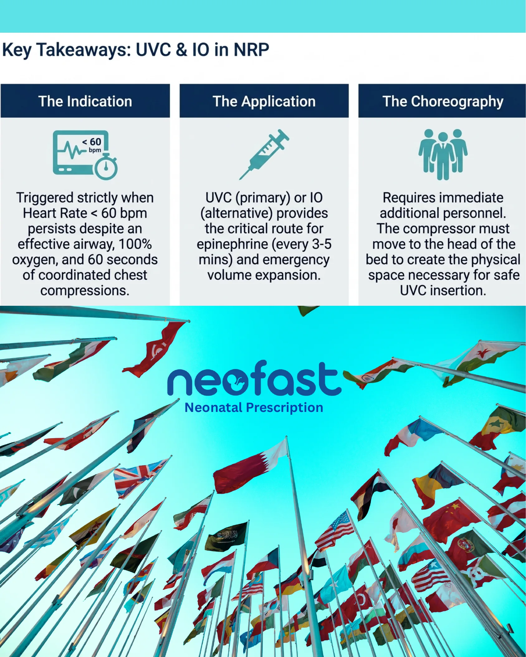Summary page with three key takeaway boxes covering indication, application, and team choreography for UVC and IO access, set against a background of international flags with the Neofast Neonatal Prescription logo.