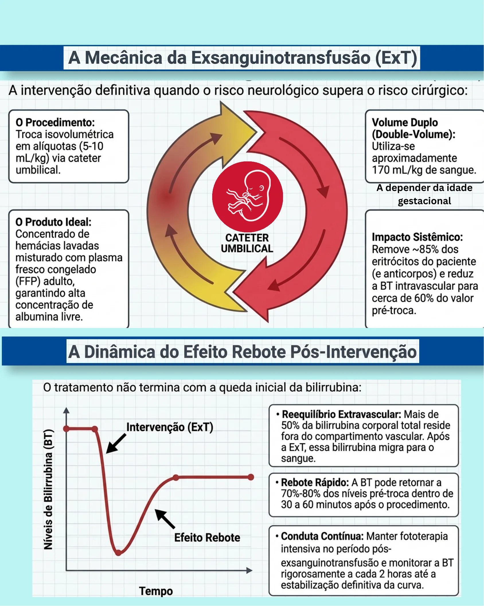 Infographic illustrating the exchange transfusion procedure via umbilical catheter and a graph showing the bilirubin rebound effect after intervention.