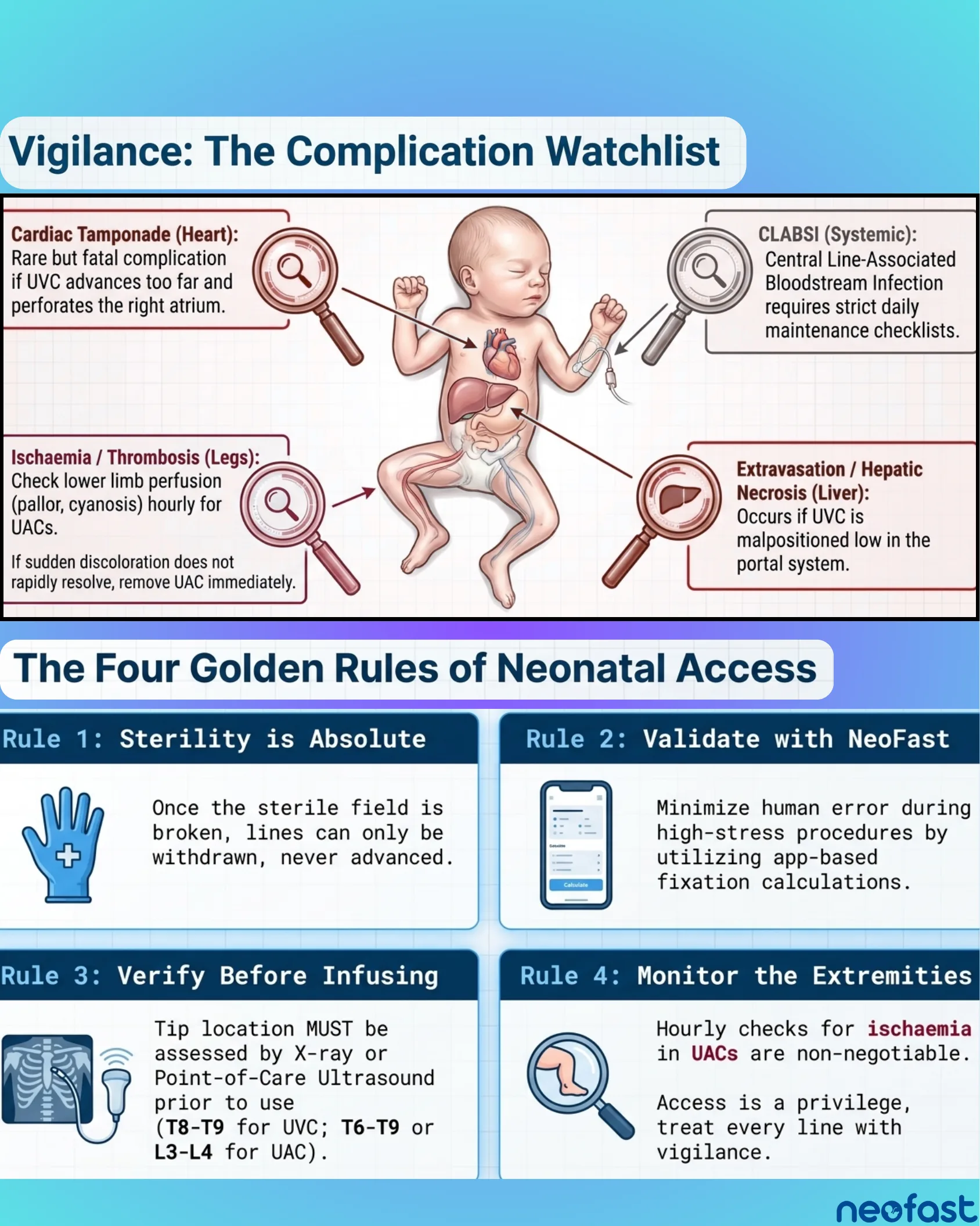 An infographic illustrating a newborn baby with internal organs visible, highlighting four key complications of umbilical catheters: cardiac tamponade, CLABSI, ischaemia/thrombosis, and extravasation/hepatic necrosis, followed by four golden rules of neonatal vascular access.