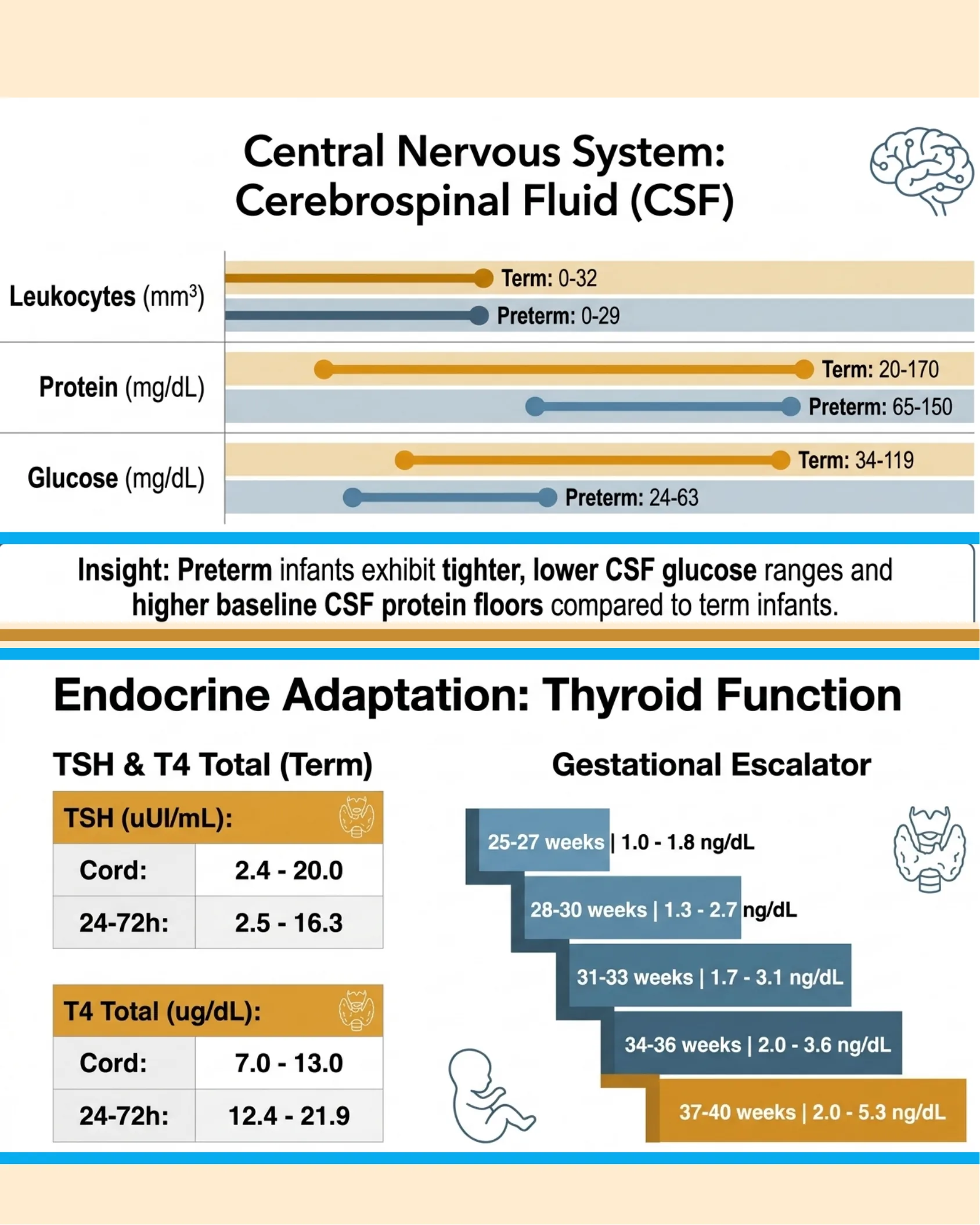 Infographic showing CSF leukocyte, protein, and glucose ranges for term vs preterm infants, plus TSH and T4 total values and a gestational age escalator chart for thyroid hormone levels.