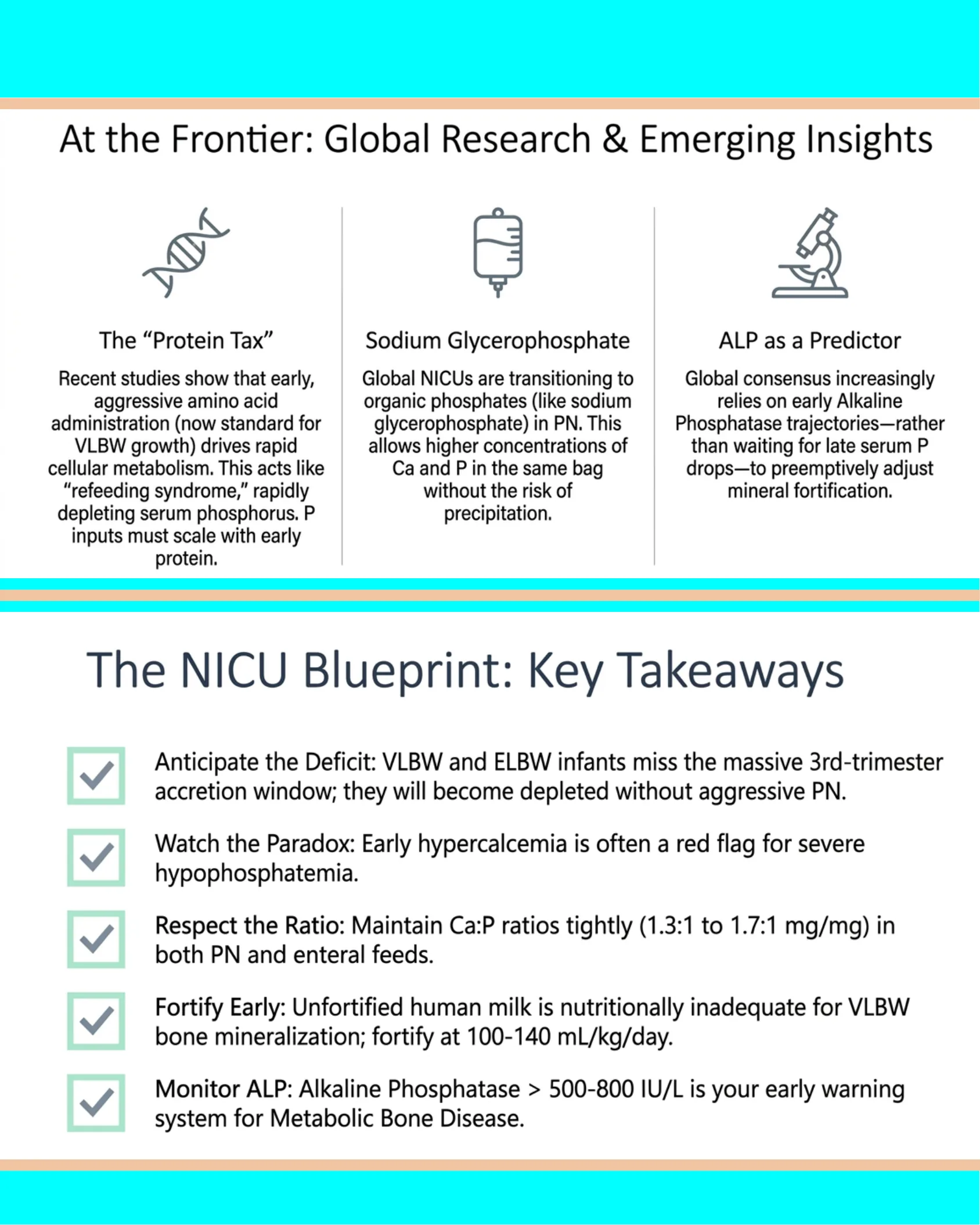 Infographic page showing three columns of emerging neonatal research topics: the protein tax, sodium glycerophosphate, and ALP as a predictor, each with an icon and descriptive text.