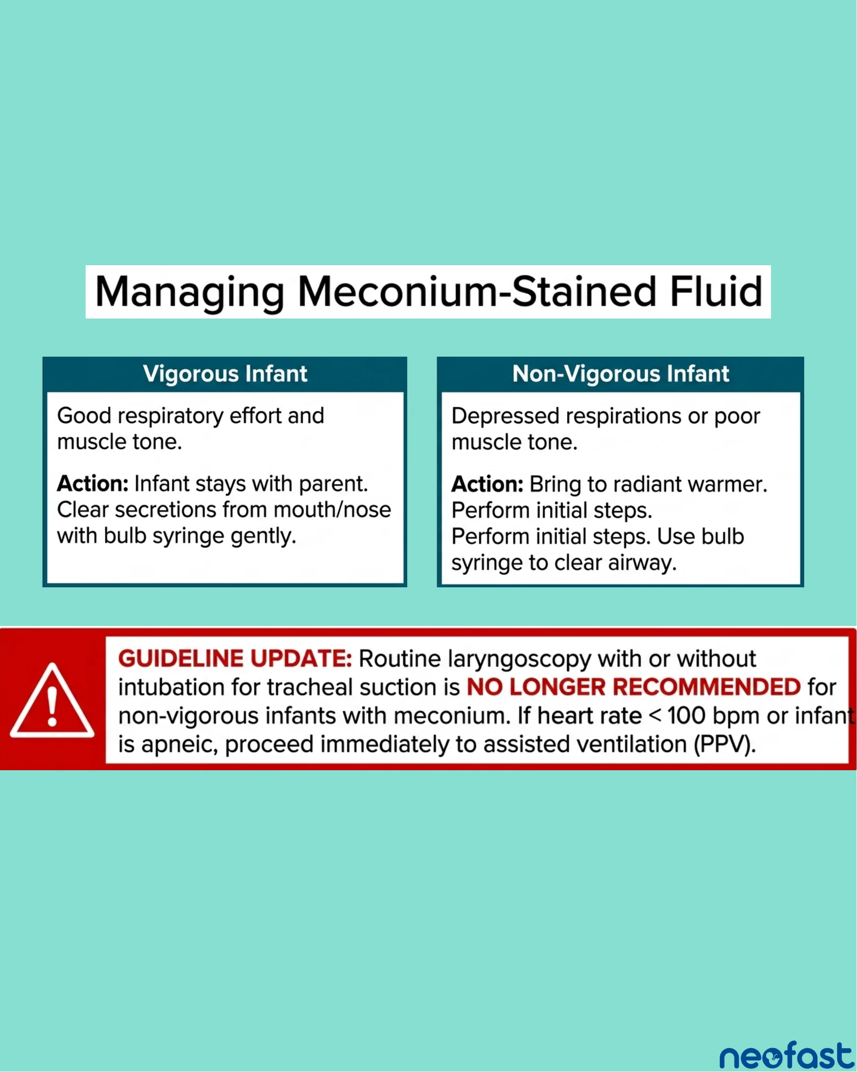 Infographic comparing management of vigorous versus non-vigorous infants with meconium-stained fluid and a guideline update box on laryngoscopy.