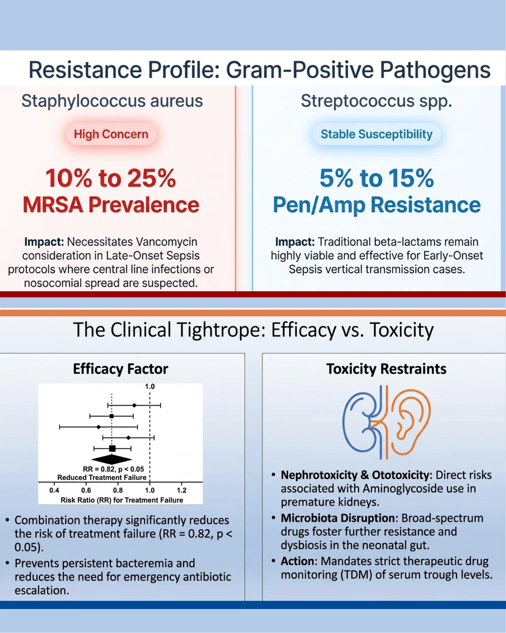 Infographic comparing MRSA prevalence in Staphylococcus aureus versus Streptococcus penicillin/ampicillin resistance, alongside a forest plot on combination therapy efficacy and a list of toxicity restraints for aminoglycosides.