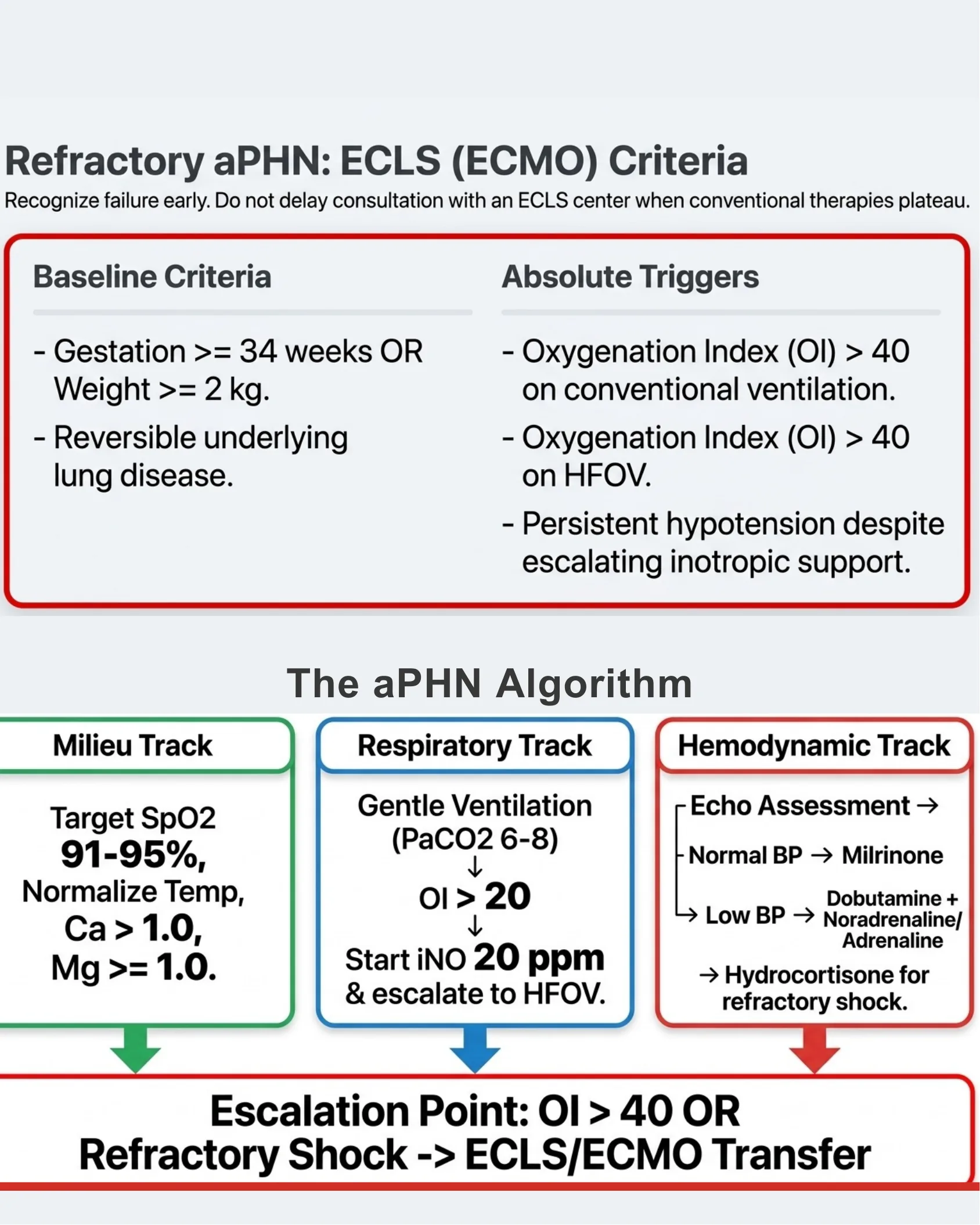 A clinical algorithm outlining baseline criteria and absolute triggers for ECLS/ECMO in refractory acute pulmonary hypertension of the newborn, along with a three-track management algorithm (Milieu, Respiratory, Hemodynamic) leading to an escalation point for ECMO transfer.