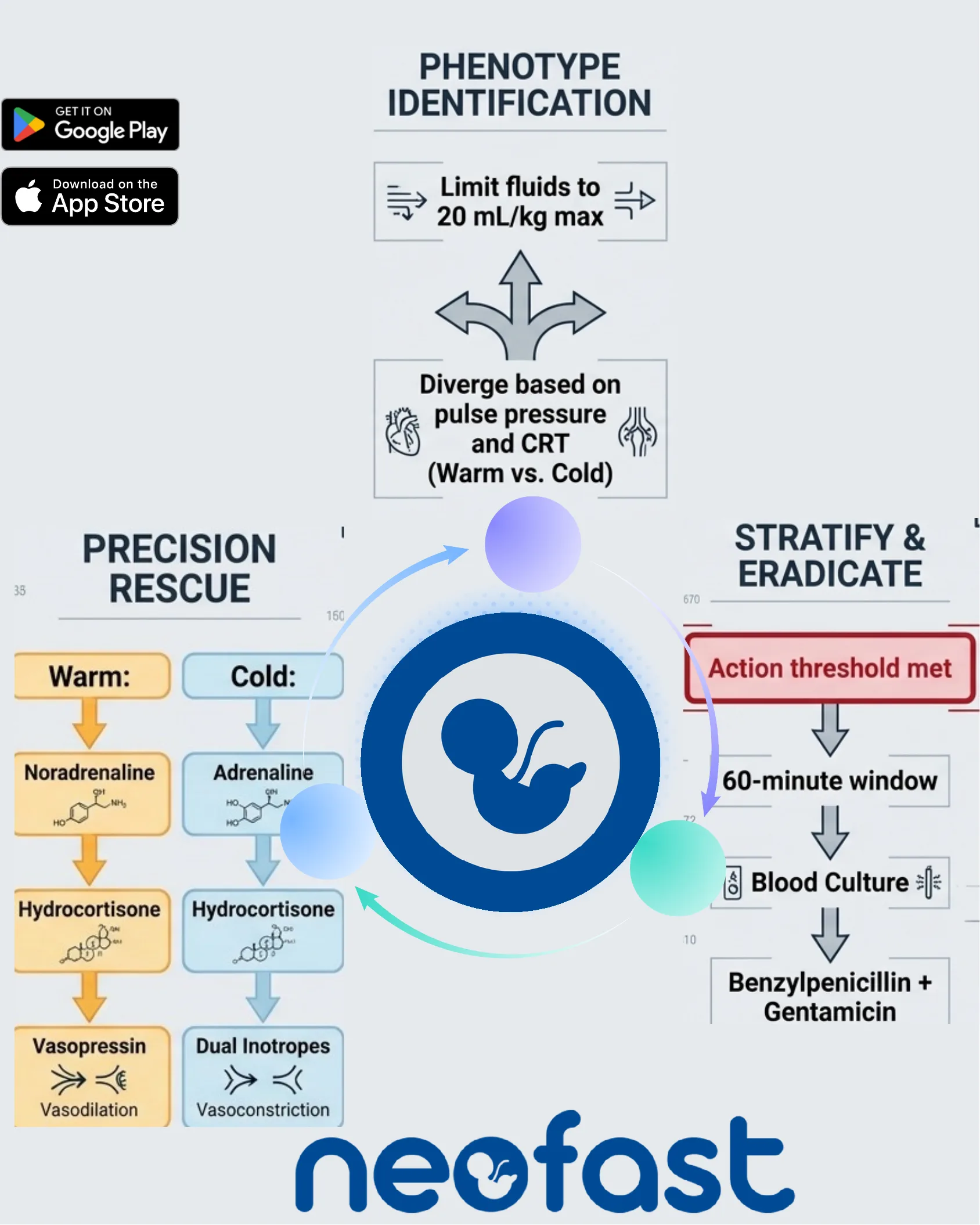 Resumo em ciclo: identificação do fenótipo, estratificar e erradicar, e resgate de precisão (Warm e Cold). Logo NeoFast e botões Google Play / App Store.