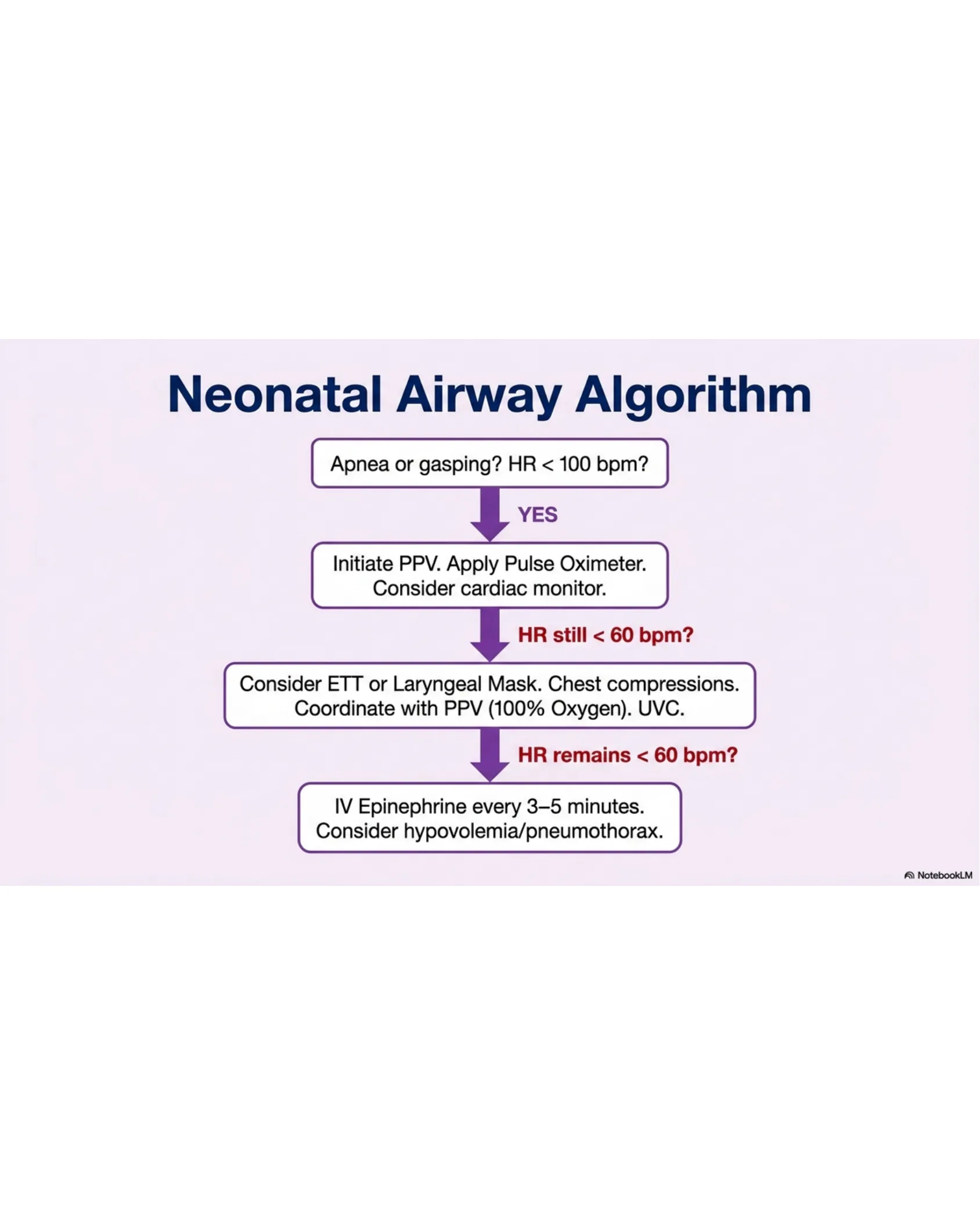Flowchart of the neonatal airway resuscitation algorithm progressing from apnea assessment to PPV, intubation/compressions, and epinephrine.