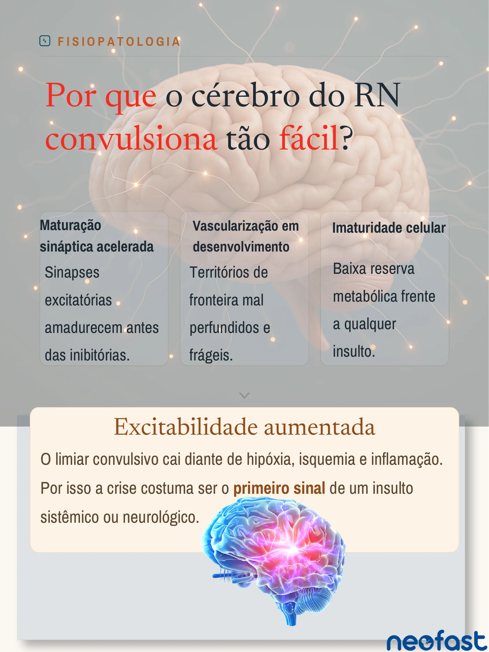 Infográfico explicando a fisiopatologia da hiperexcitabilidade cerebral neonatal, com um cérebro ilustrado ao centro e três caixas de texto sobre maturação sináptica, vascularização e imaturidade celular.
