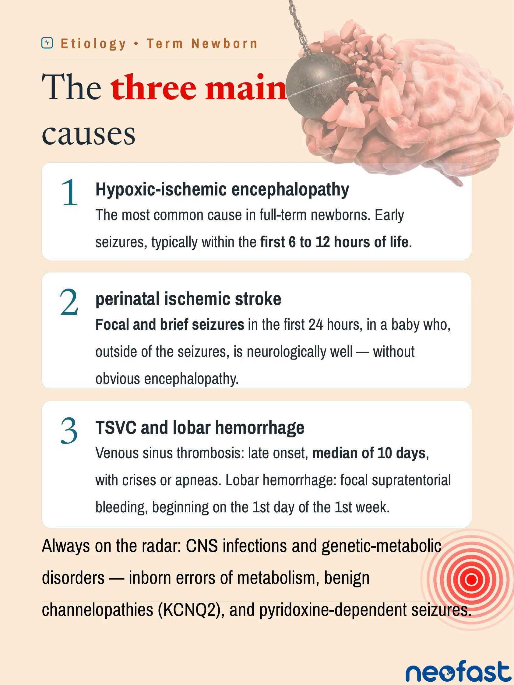 Infographic listing the three main causes of neonatal seizures in term newborns: hypoxic-ischemic encephalopathy, perinatal ischemic stroke, and TSVC and lobar hemorrhage, with additional causes noted below.