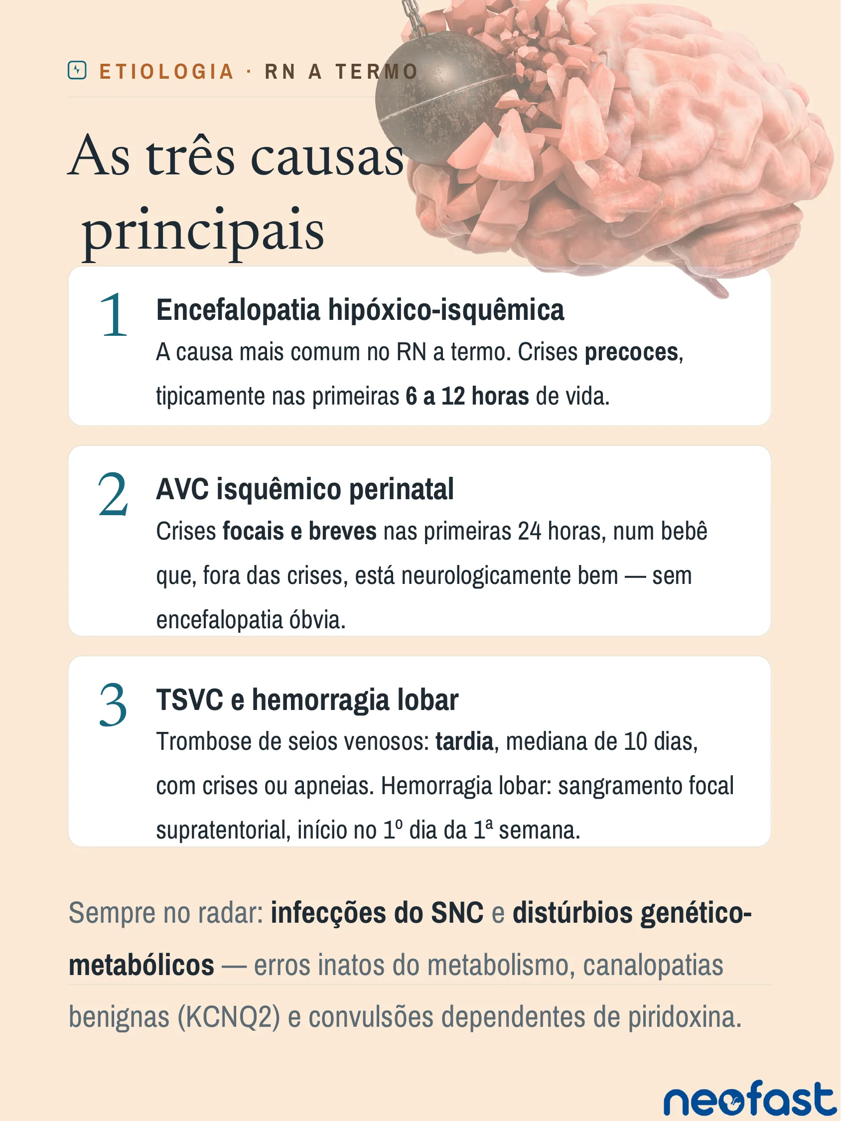 Infográfico listando as três principais causas de convulsão neonatal em recém-nascidos a termo, numeradas de 1 a 3, com um cérebro fragmentado ilustrativo no topo.