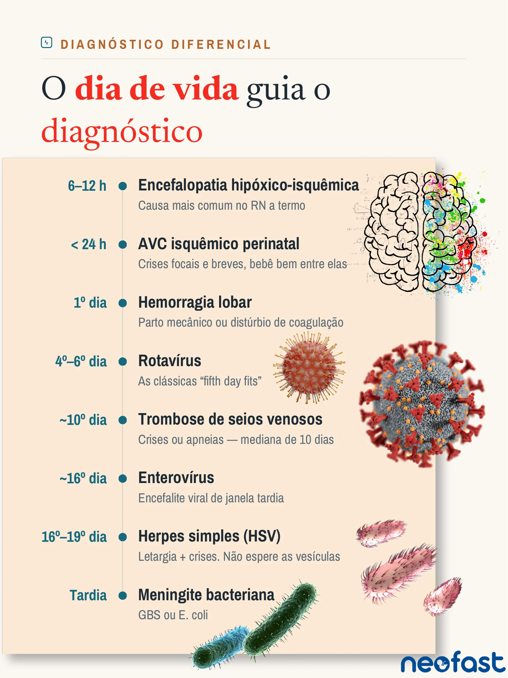 Linha do tempo vertical mostrando as causas de convulsão neonatal organizadas por dia de vida, desde 6-12 horas até período tardio, com ilustrações de cérebro e microrganismos.
