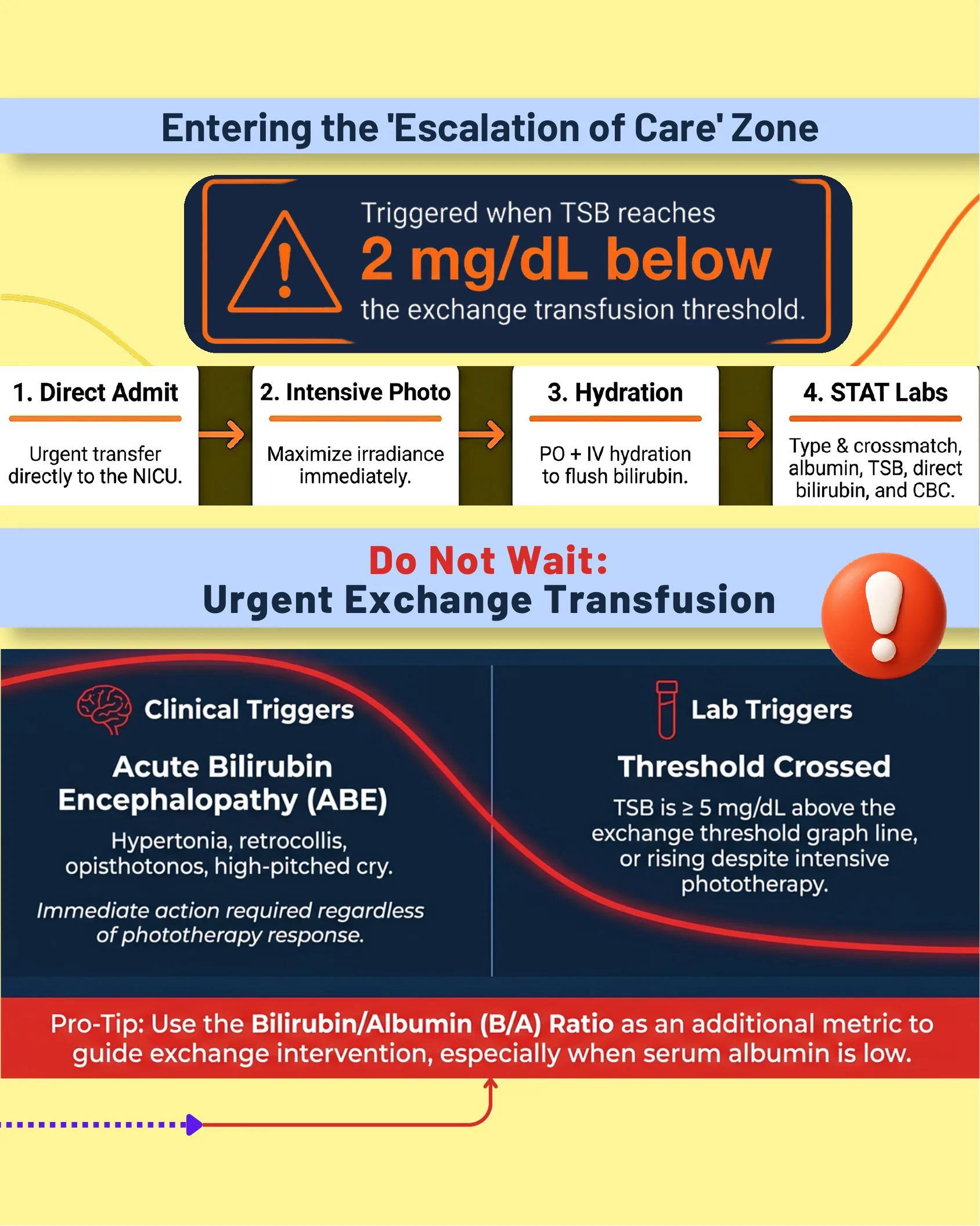 Flowchart of four urgent escalation-of-care steps for rising bilirubin, plus a panel on clinical and lab triggers for urgent exchange transfusion including the bilirubin/albumin ratio tip.