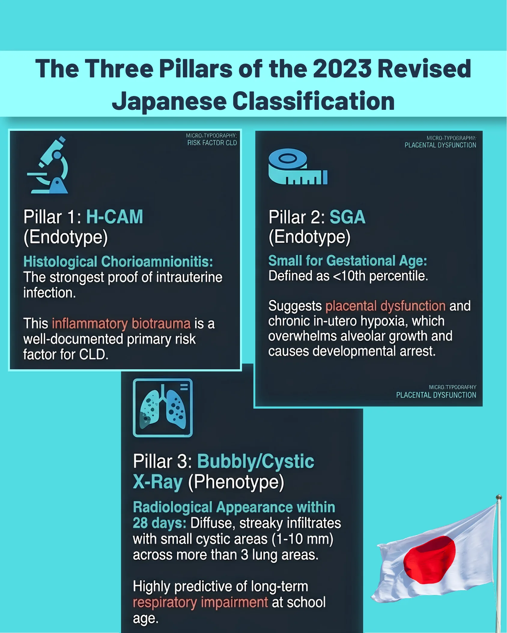 Three dark information cards describing H-CAM, SGA, and Bubbly/Cystic X-Ray as the three pillars of the 2023 revised Japanese classification, alongside a Japanese flag graphic.