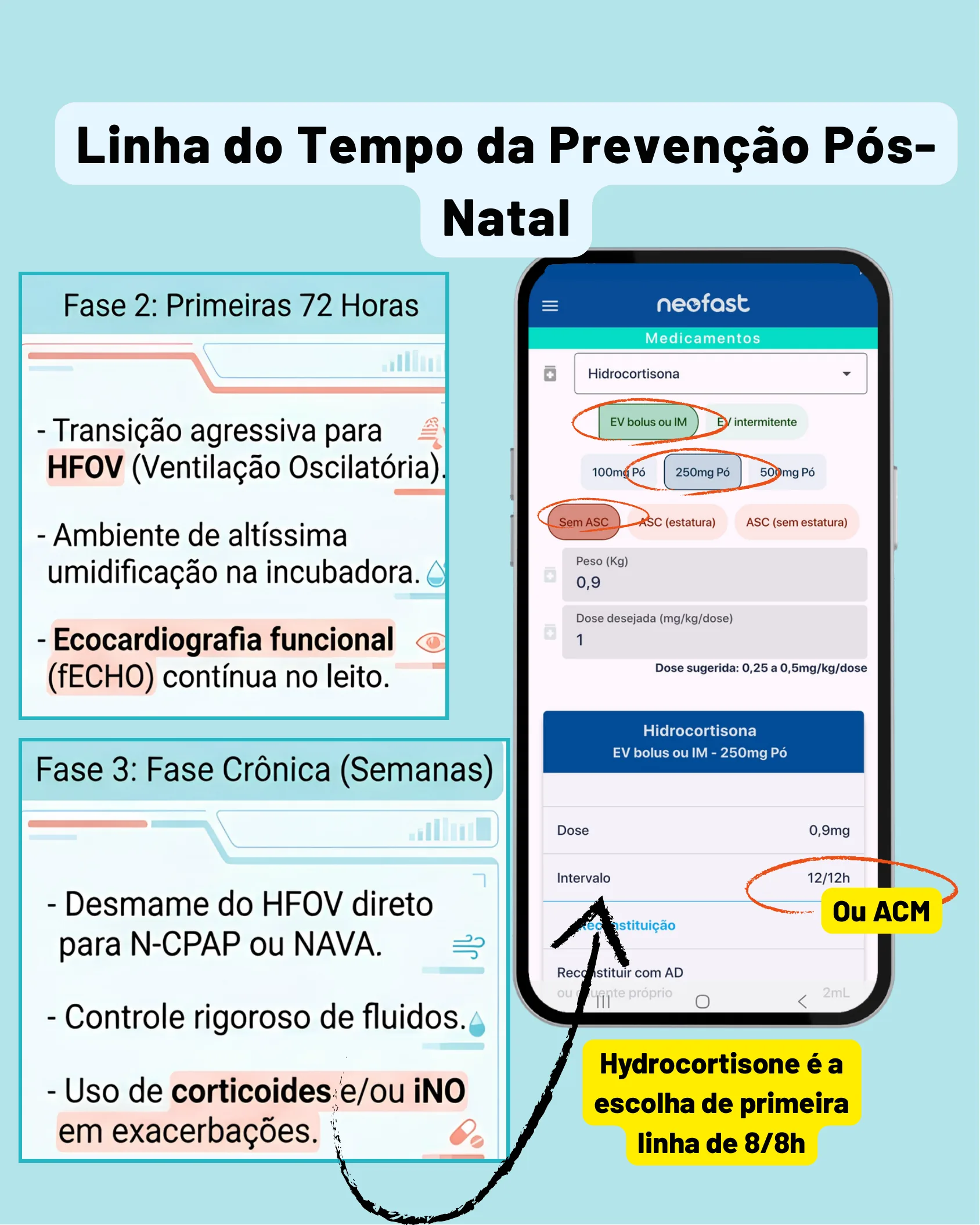 Infográfico das fases 2 e 3 do manejo pós-natal e tela do aplicativo Neofast para cálculo de Hidrocortisona.