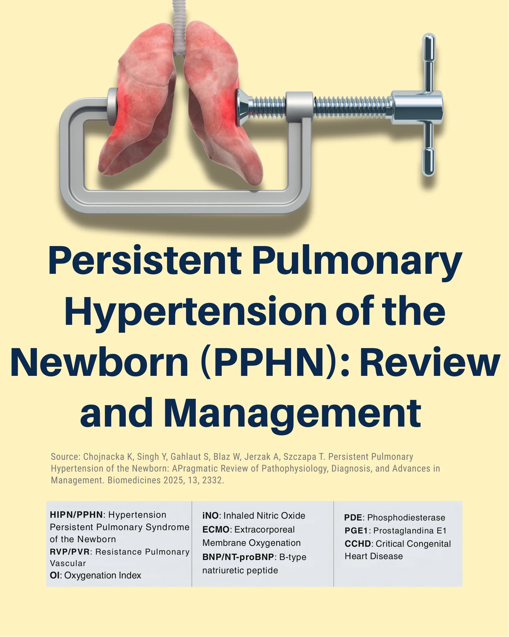 Capa do infográfico sobre Hipertensão Pulmonar Persistente do Recém-Nascido mostrando pulmões presos em uma morsa mecânica sobre fundo amarelo.