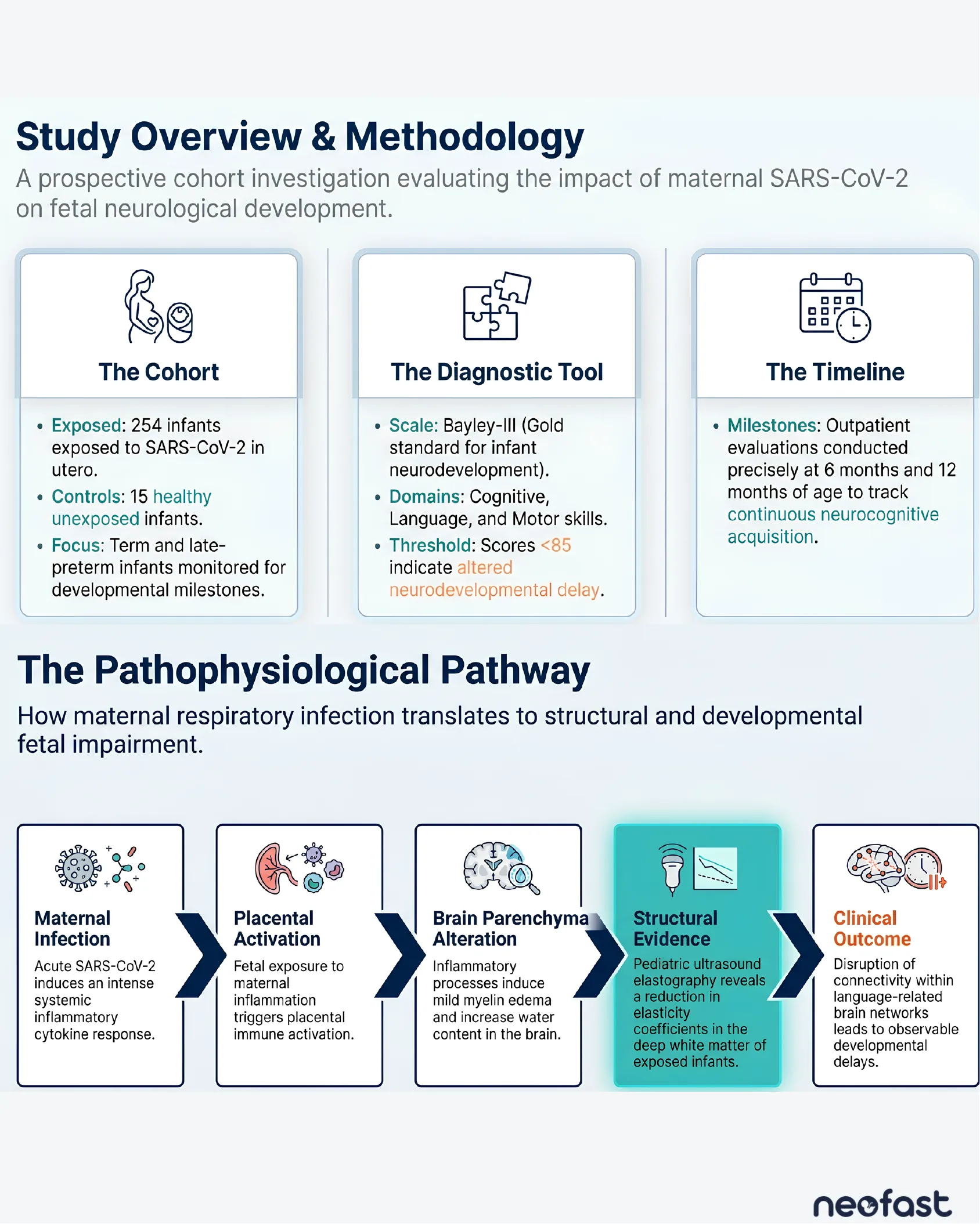 Infographic showing the PROUDEST study cohort, diagnostic tool, and timeline, plus a five-step pathophysiological pathway from maternal infection to clinical developmental outcome.