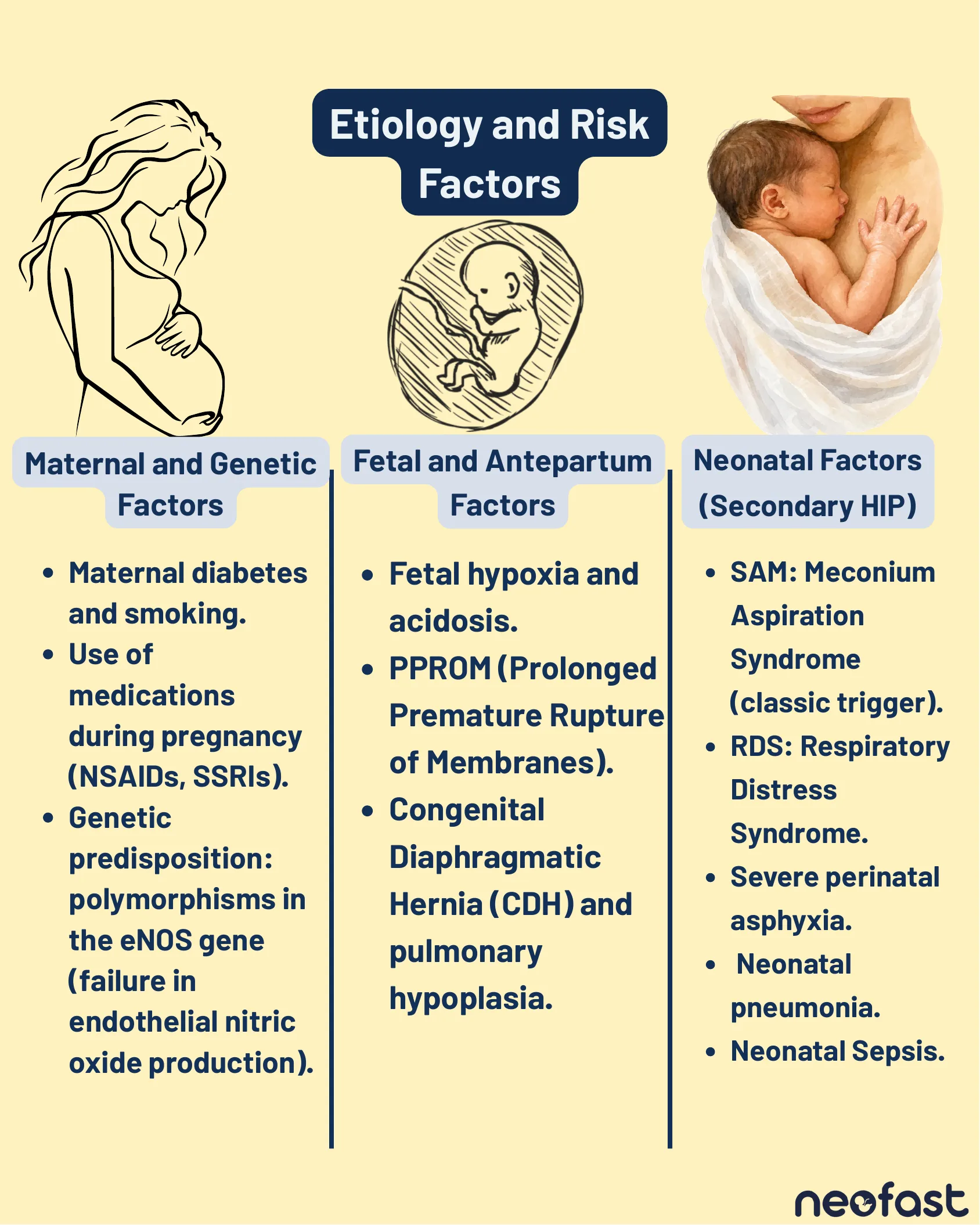 Infographic listing maternal, fetal/antepartum, and neonatal risk factors for PPHN, illustrated with drawings of a pregnant woman, a fetus, and a mother holding a newborn