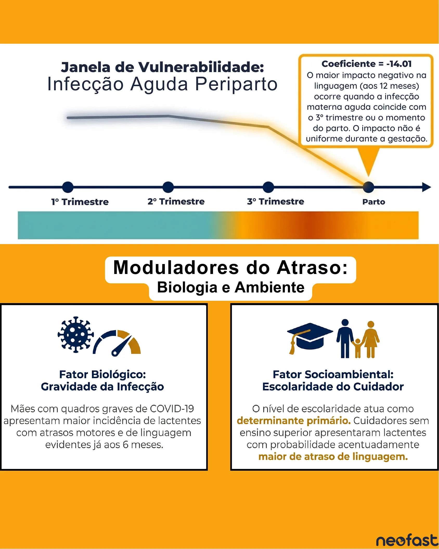 Linha do tempo gestacional mostrando maior impacto negativo da infecção aguda periparto na linguagem, seguida de quadros comparando fatores biológicos e socioambientais que modulam o atraso no desenvolvimento.