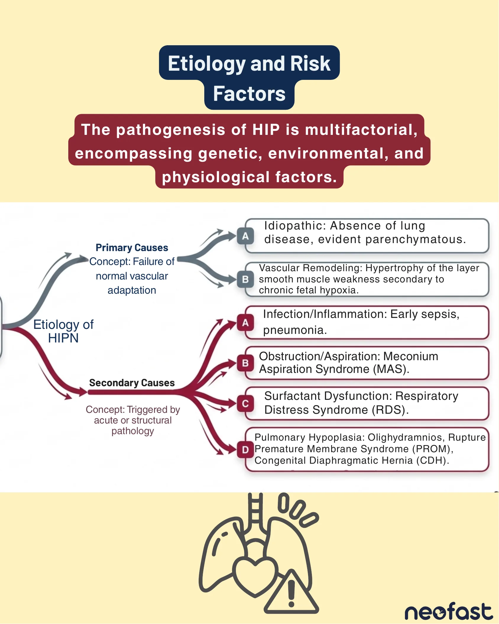 Flowchart branching the etiology of HIPN into primary causes (idiopathic and vascular remodeling) and secondary causes (infection, obstruction, surfactant dysfunction, pulmonary hypoplasia), with a lung and heart icon below