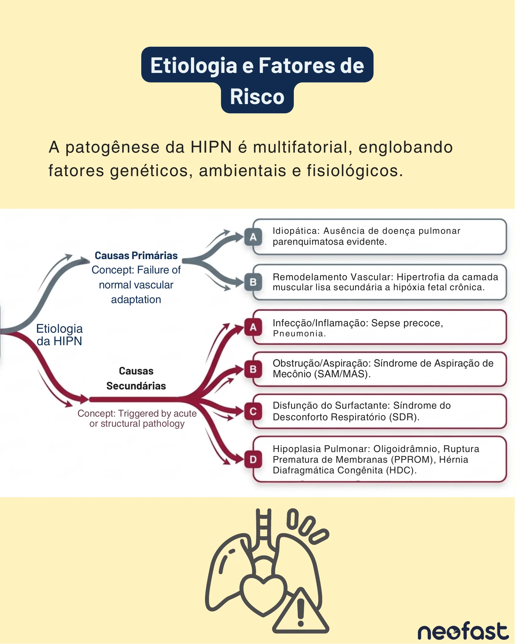 Mapa mental mostrando a etiologia da HIPN dividida em causas primárias e secundárias com seus respectivos mecanismos e exemplos clínicos, logo Neofast.