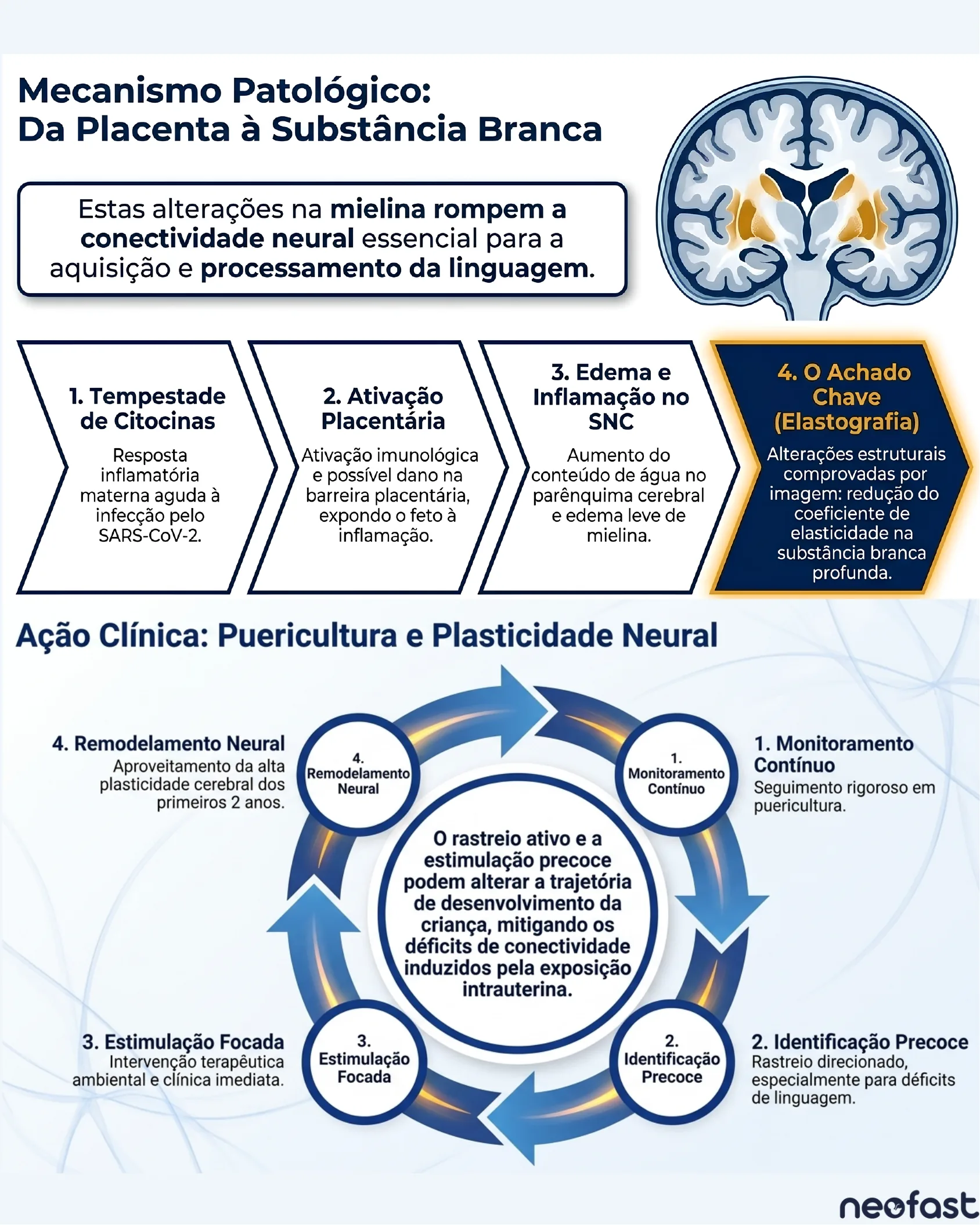 Fluxograma explicando o mecanismo patológico da tempestade de citocinas até alterações na substância branca cerebral, seguido de um ciclo de ação clínica baseado em puericultura e plasticidade neural.