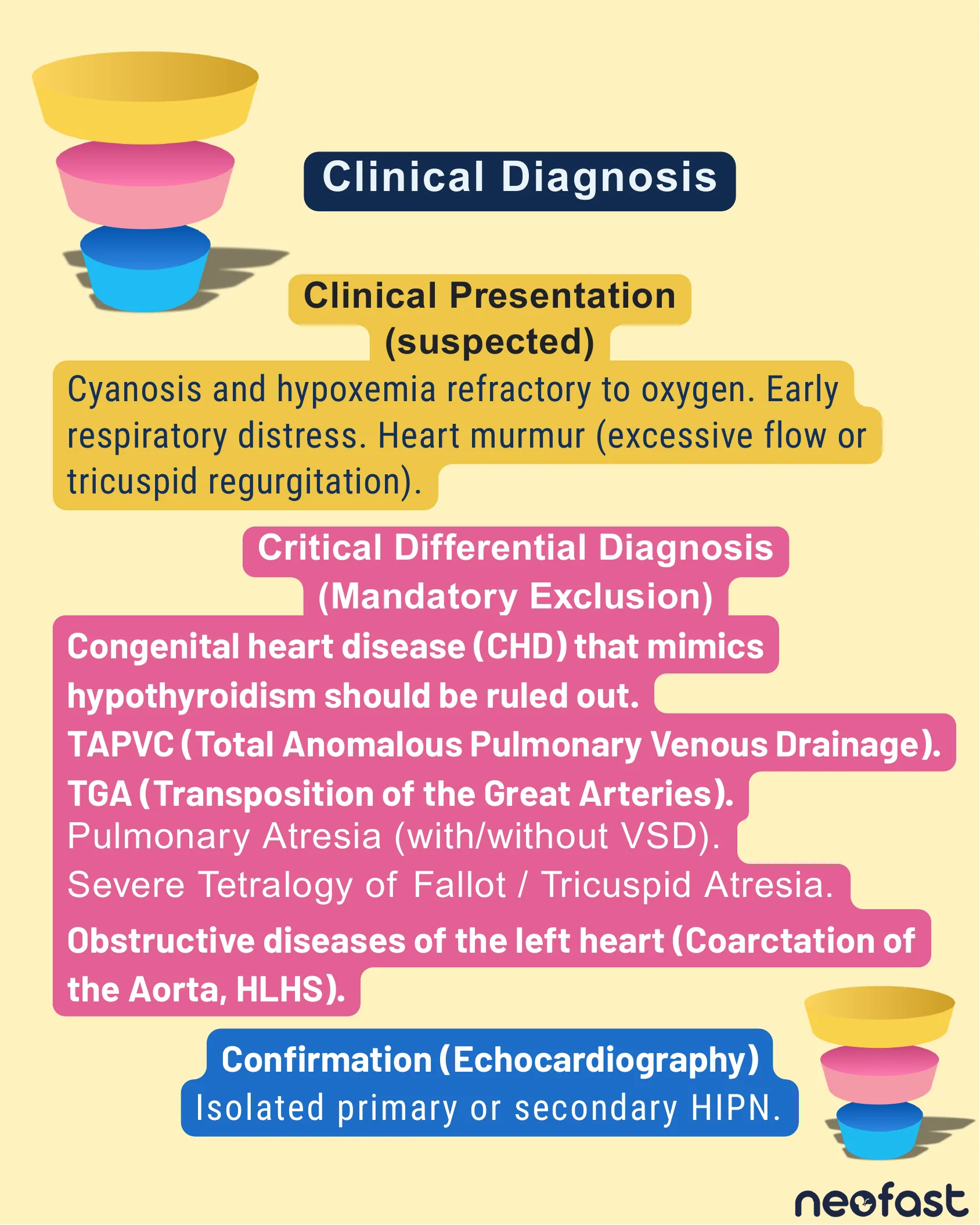 Text panel describing suspected clinical presentation, the critical differential diagnosis list of congenital heart diseases to exclude, and echocardiographic confirmation of HIPN, with stacked bowl icons